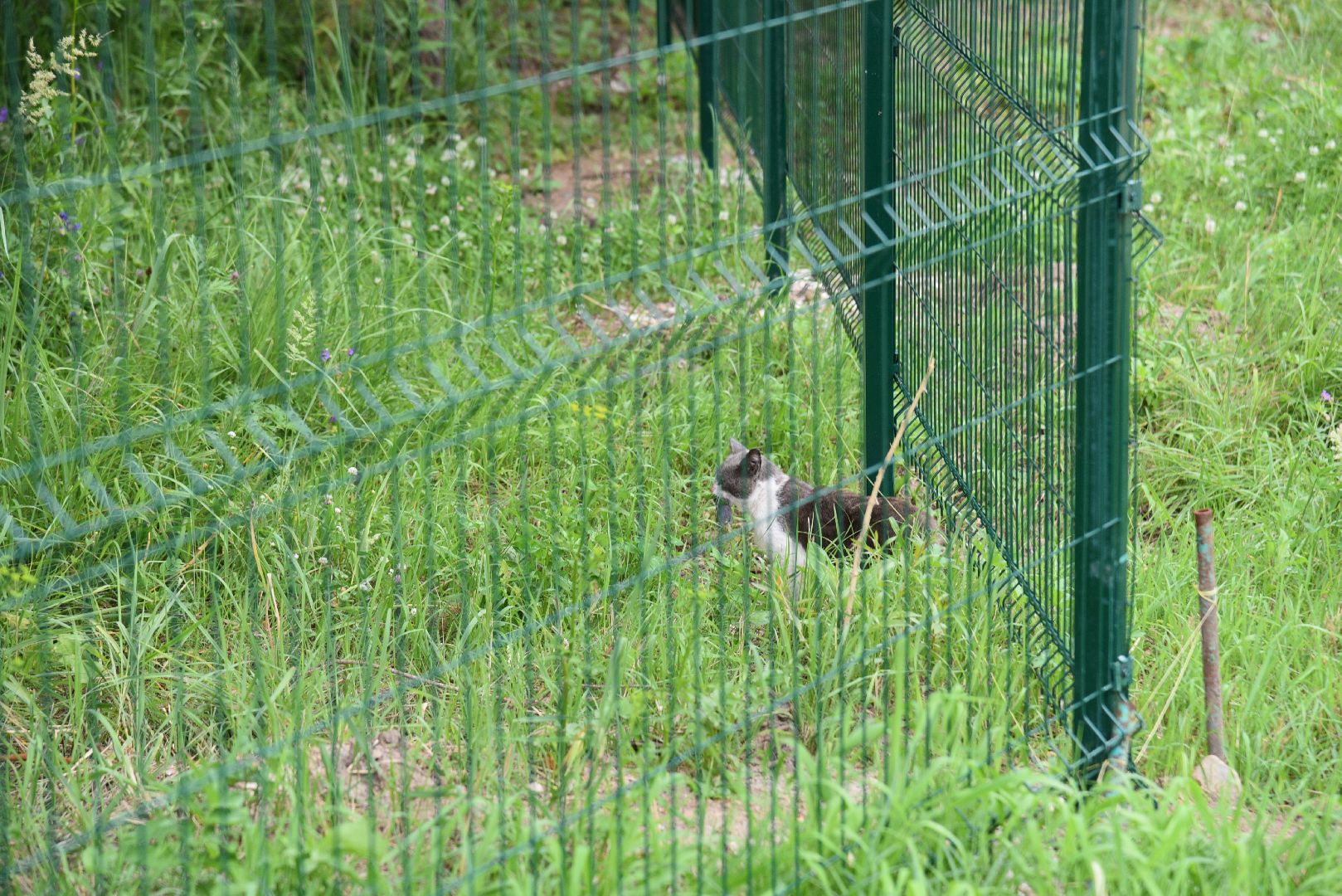 лотошино, лотошинский парк, забор, благоустройство, парки подмосковья,