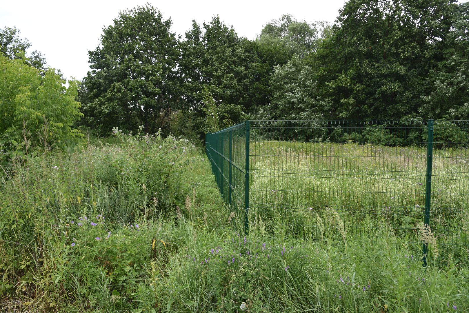 лотошино, лотошинский парк, забор, благоустройство, парки подмосковья,