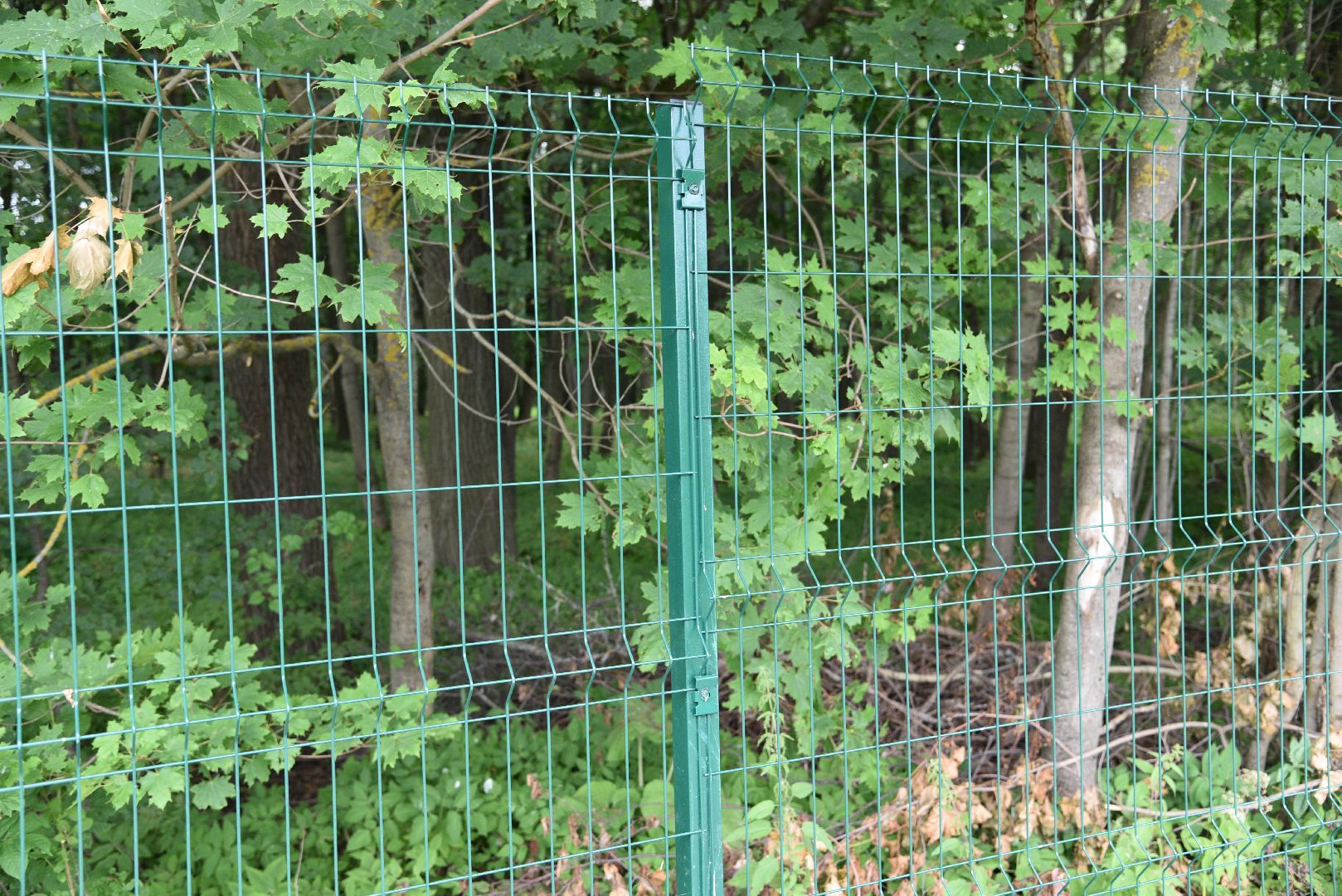 лотошино, лотошинский парк, забор, благоустройство, парки подмосковья,