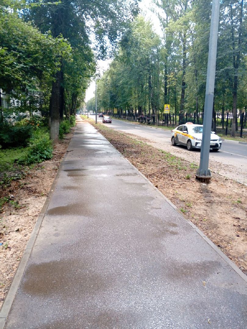 пушкино, благоустройство, газон, уборка мусора, жара, полив,