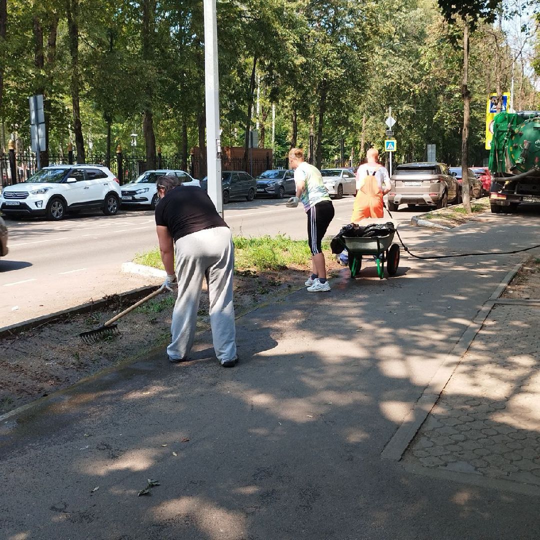 пушкино, благоустройство, газон, уборка мусора, жара, полив,