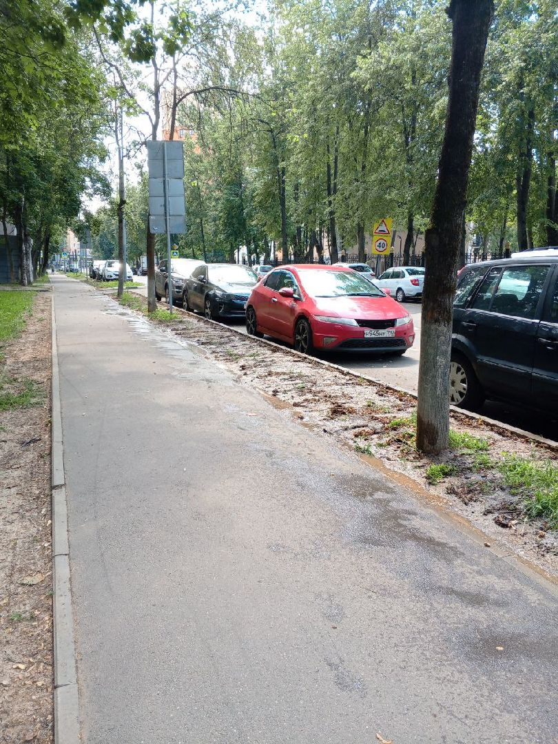 пушкино, благоустройство, газон, уборка мусора, жара, полив,