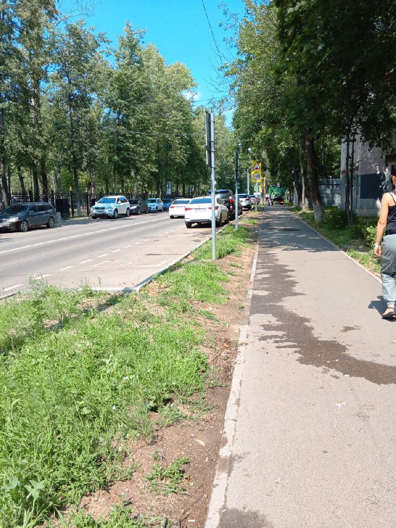 пушкино, благоустройство, газон, уборка мусора, жара, полив,