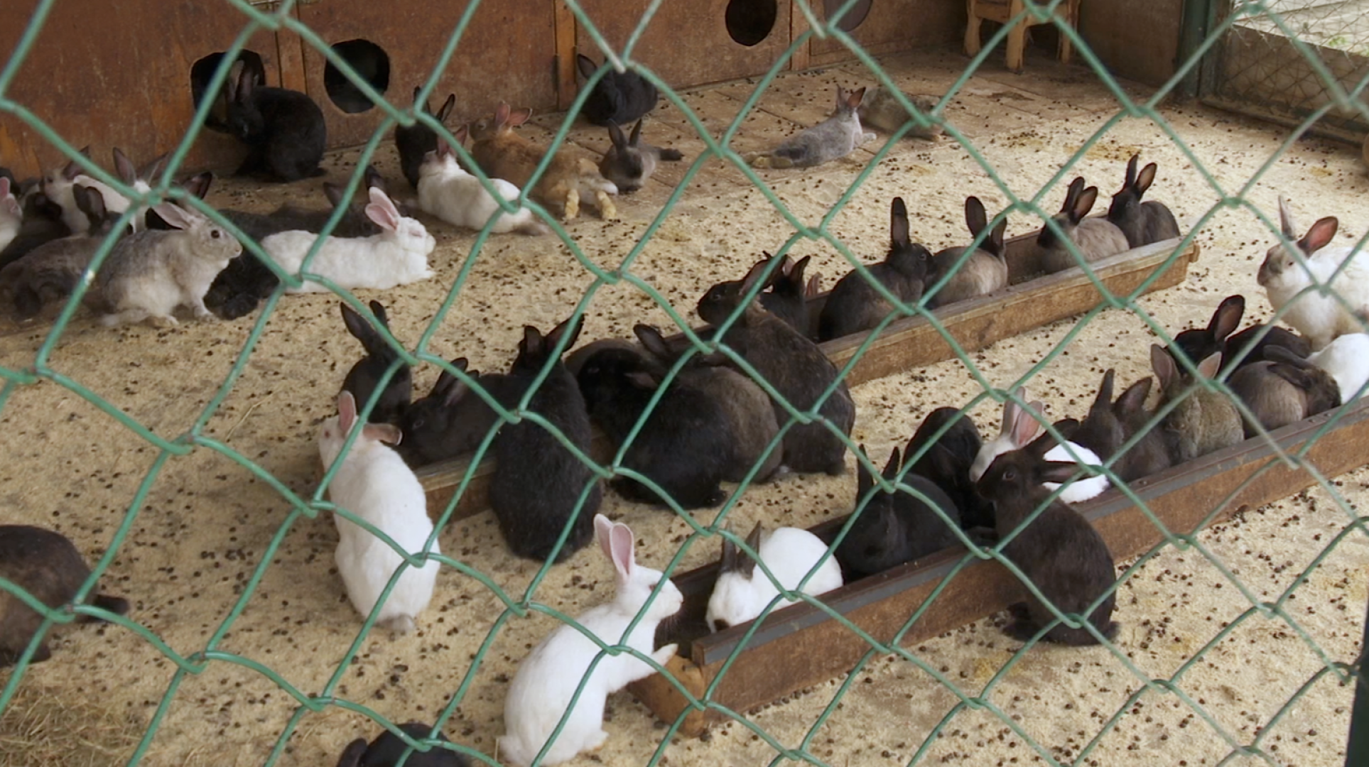 Клин, общество, экономика, сельское хозяйство, экотуризм,