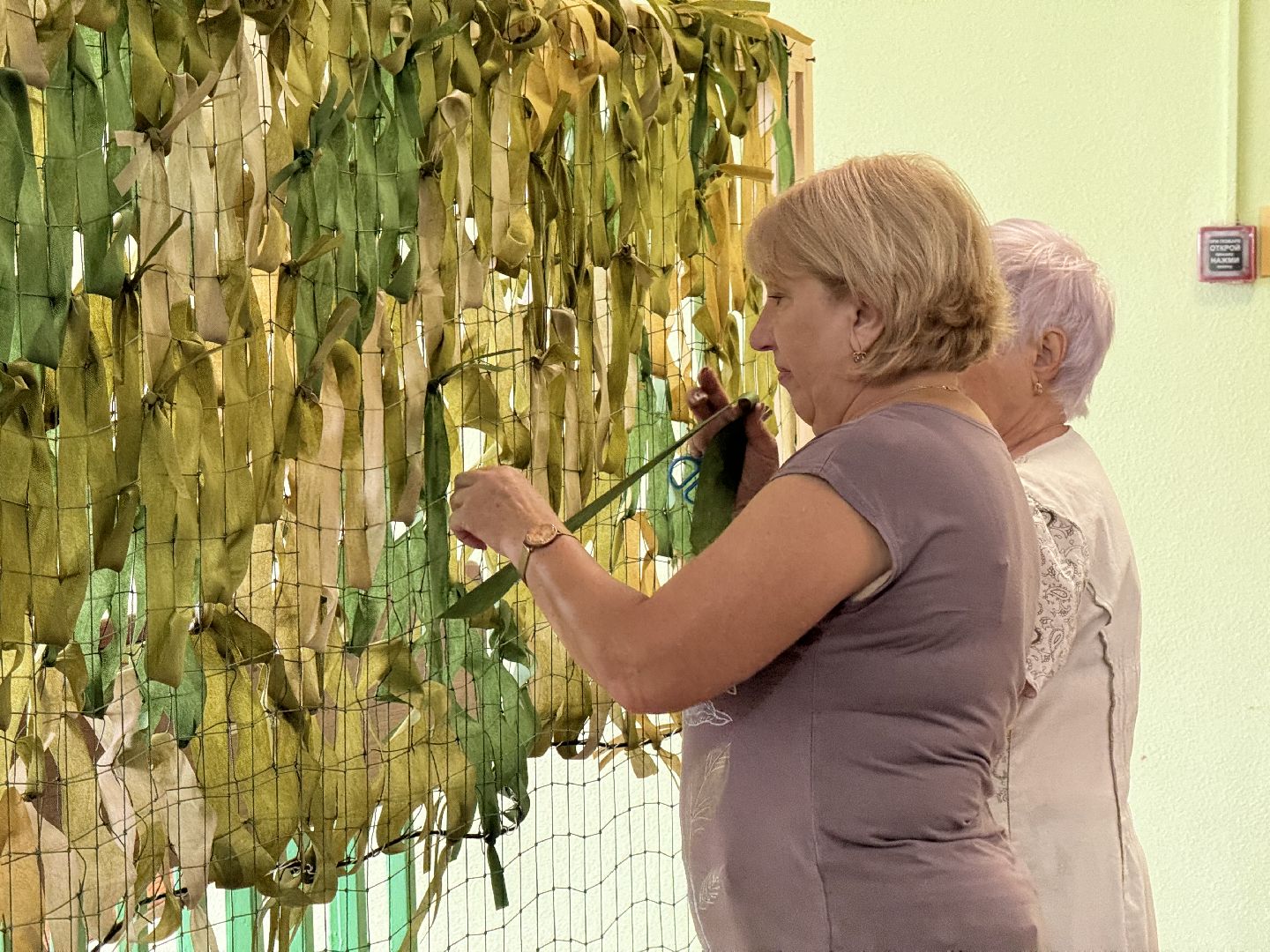 шаховская, сети, активное долголетие, сво,