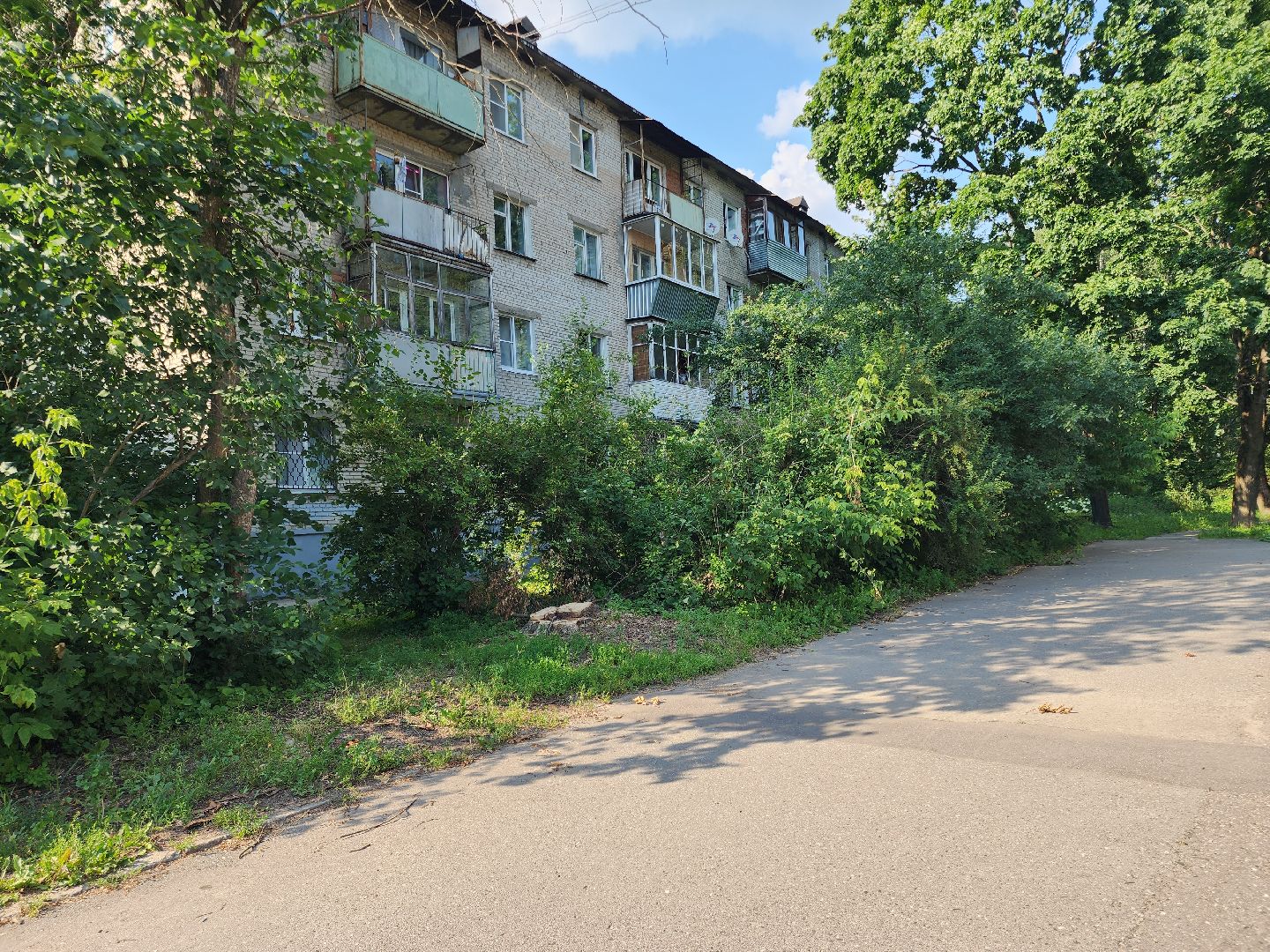 Черноголовка, Благоустройство, жкх, деревья,