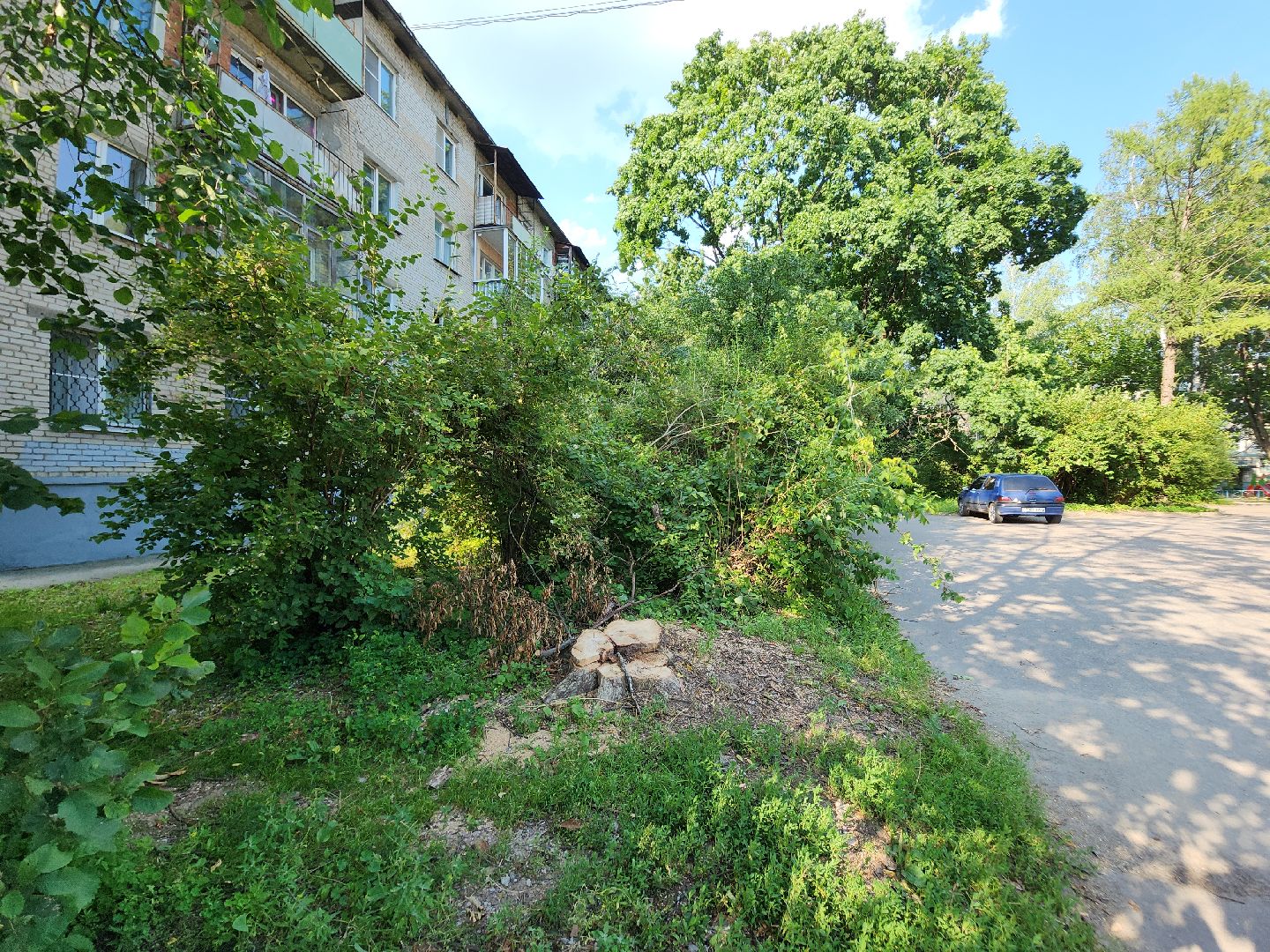 Черноголовка, Благоустройство, жкх, деревья,