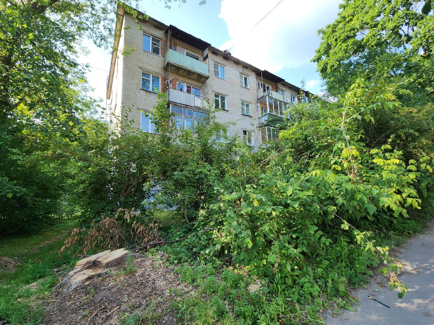 Черноголовка, Благоустройство, жкх, деревья,