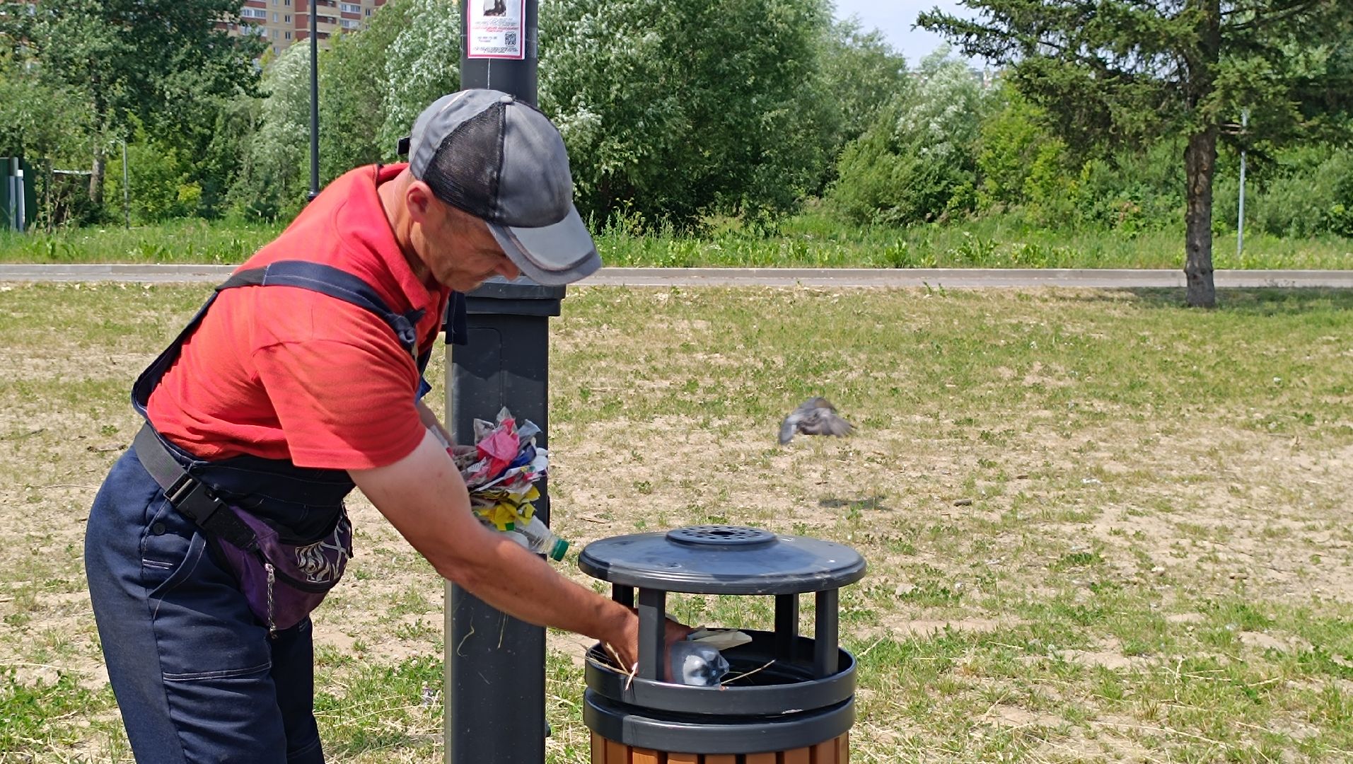 Парк, покос травы, уборка мусора, лобня,