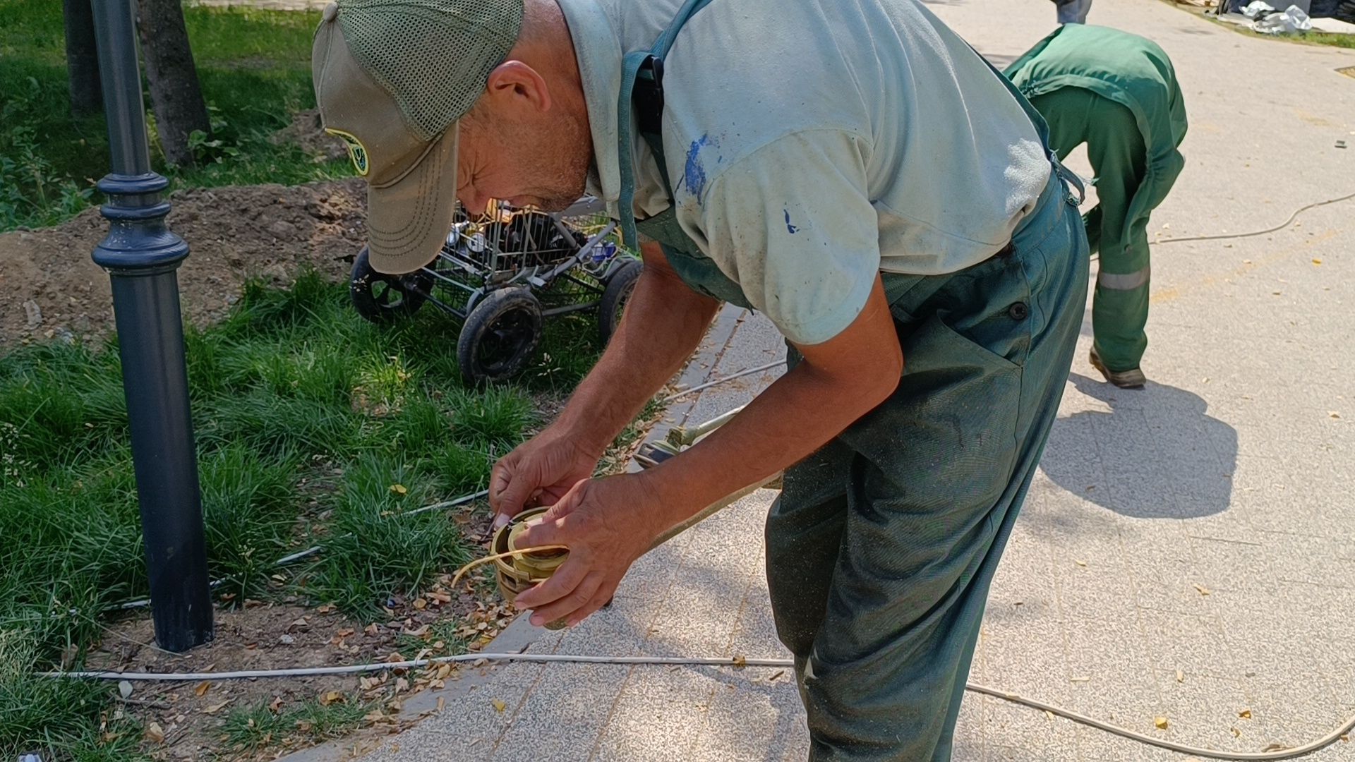 Парк, покос травы, уборка мусора, лобня,