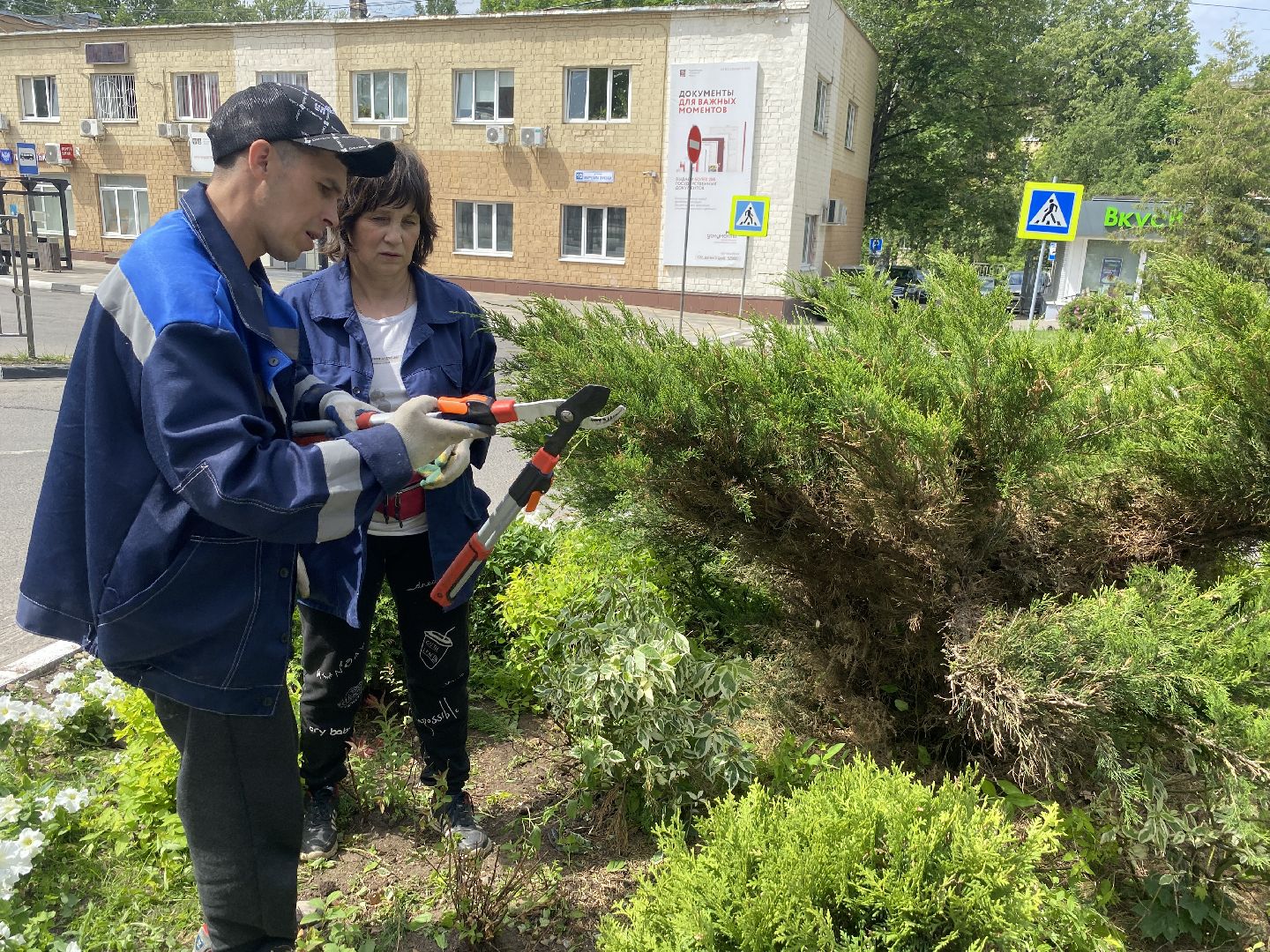 озеленение города, МБУ ЖКХ и благоустройство, Озеленение Власихи, цветочные композиции, цветочные клумбы,