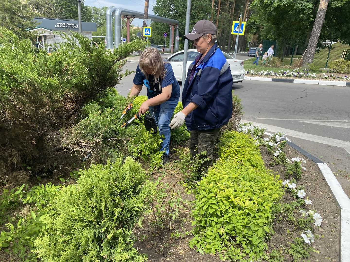 озеленение города, МБУ ЖКХ и благоустройство, Озеленение Власихи, цветочные композиции, цветочные клумбы,