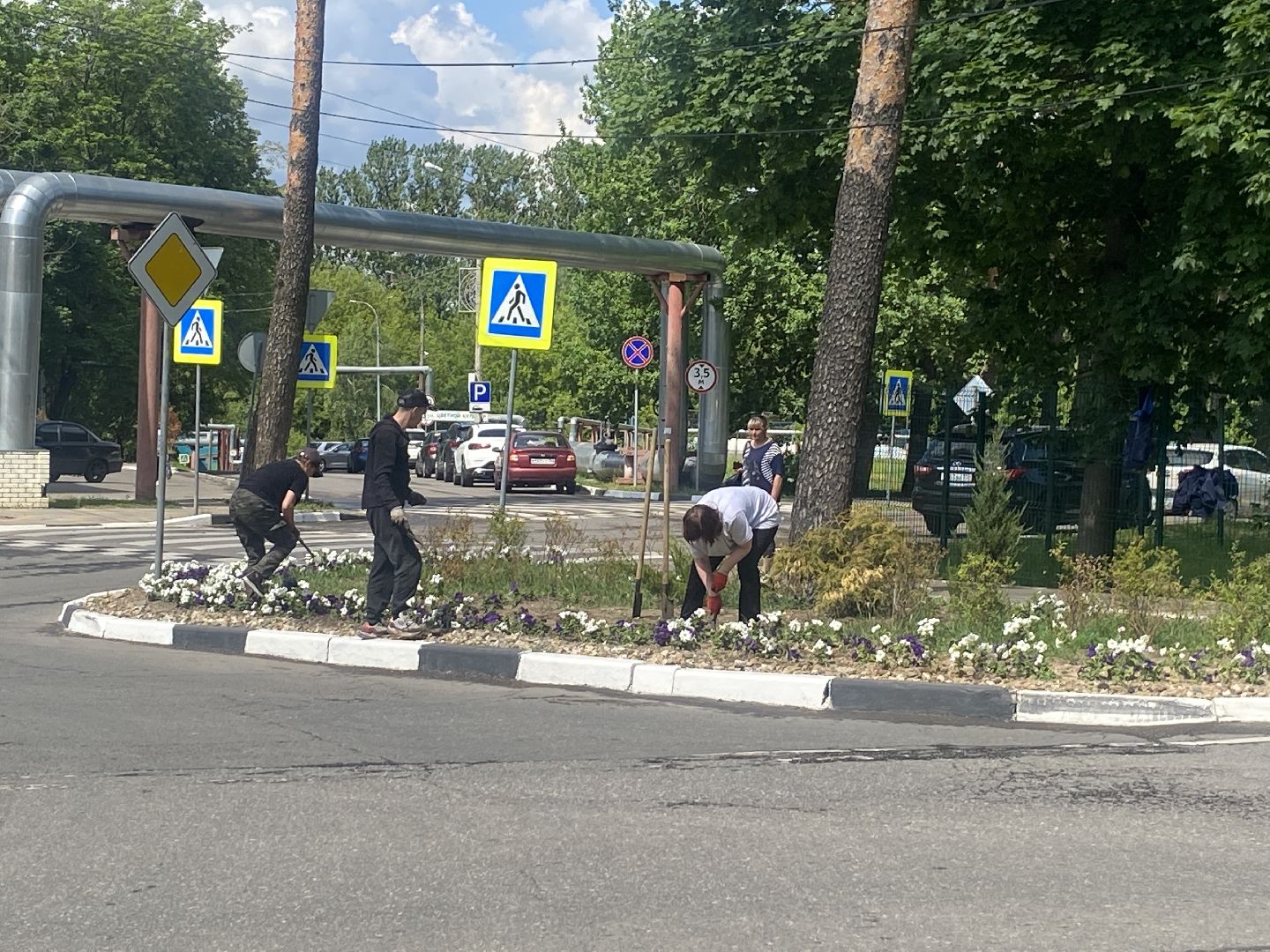 озеленение города, МБУ ЖКХ и благоустройство, Озеленение Власихи, цветочные композиции, цветочные клумбы,