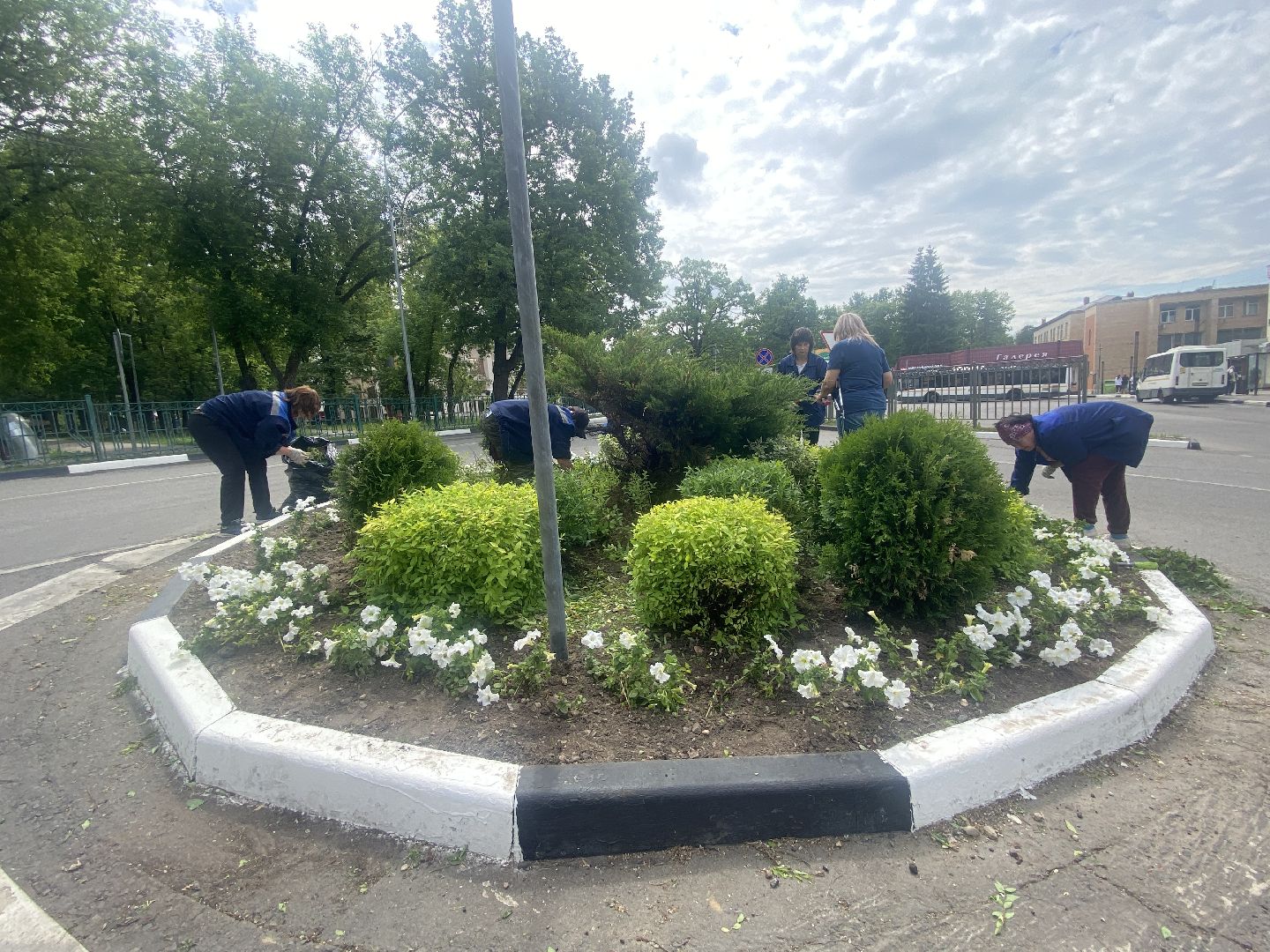 озеленение города, МБУ ЖКХ и благоустройство, Озеленение Власихи, цветочные композиции, цветочные клумбы,