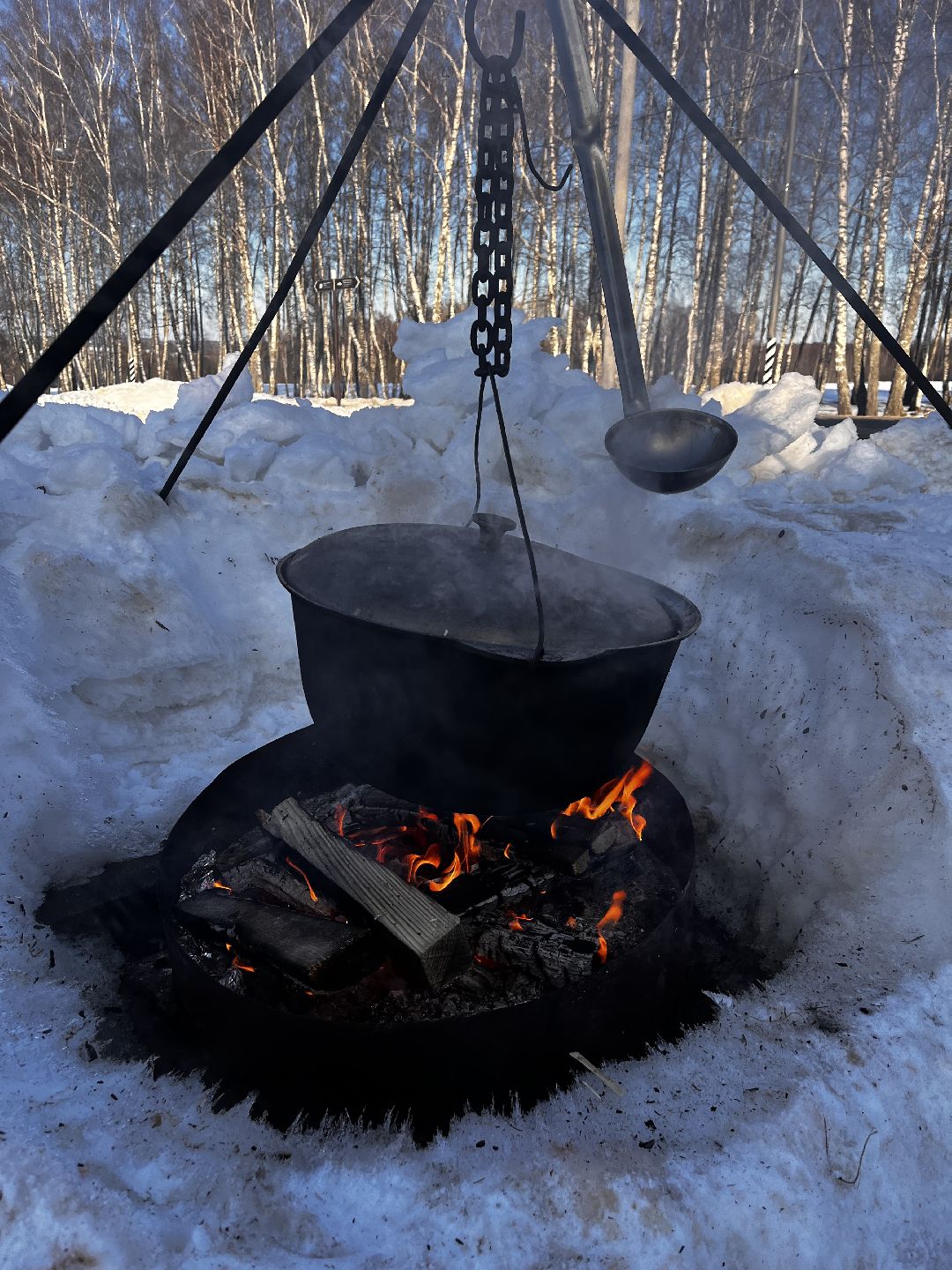 Можайск, общество