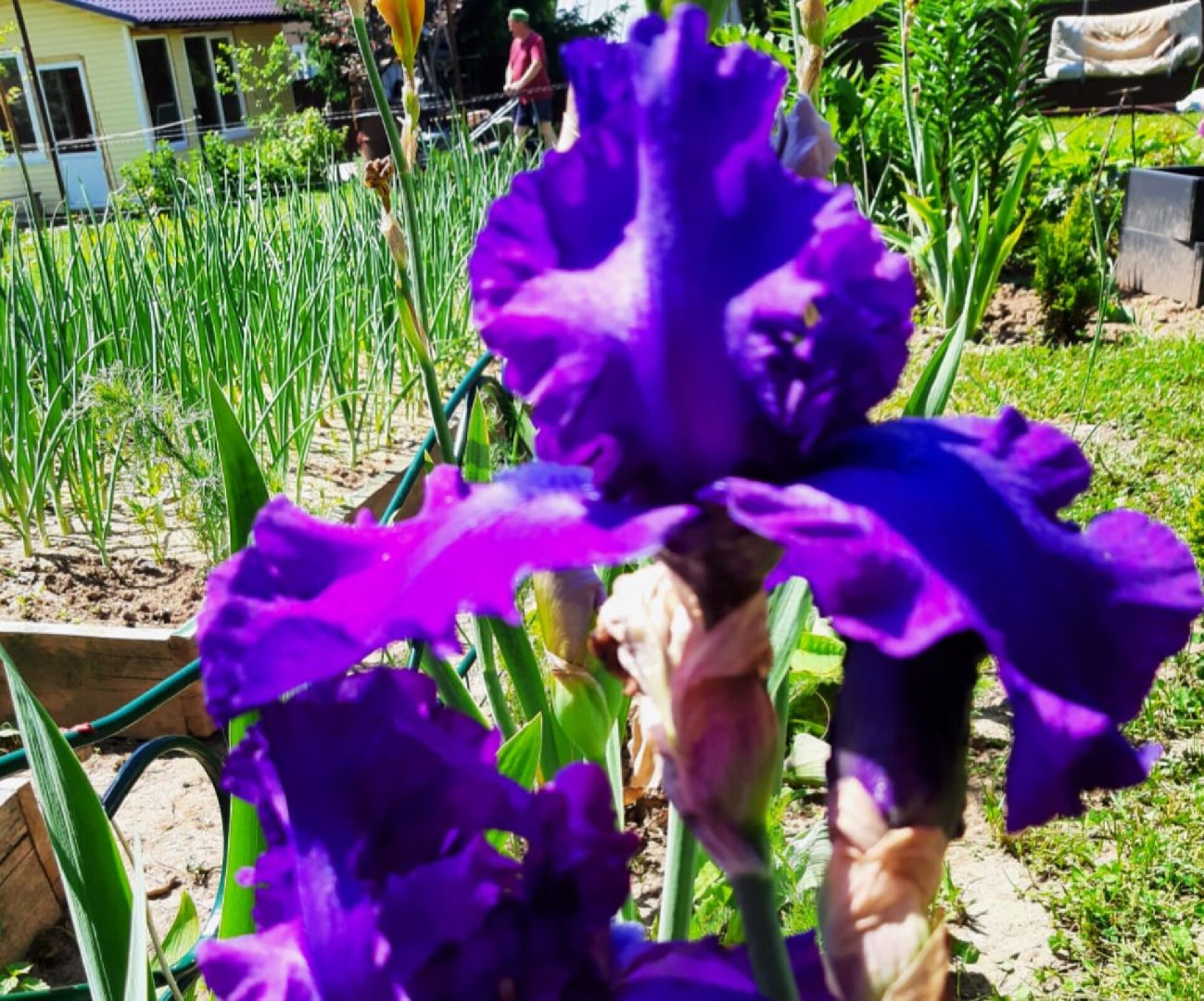 Звенигород, Культура, Лето в библиотеке,