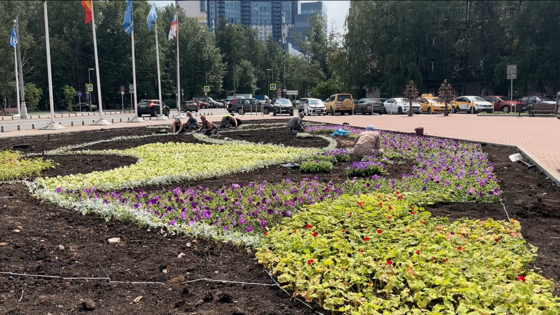 химки, благоустройство, клумбы, цветы, высадка цветов,