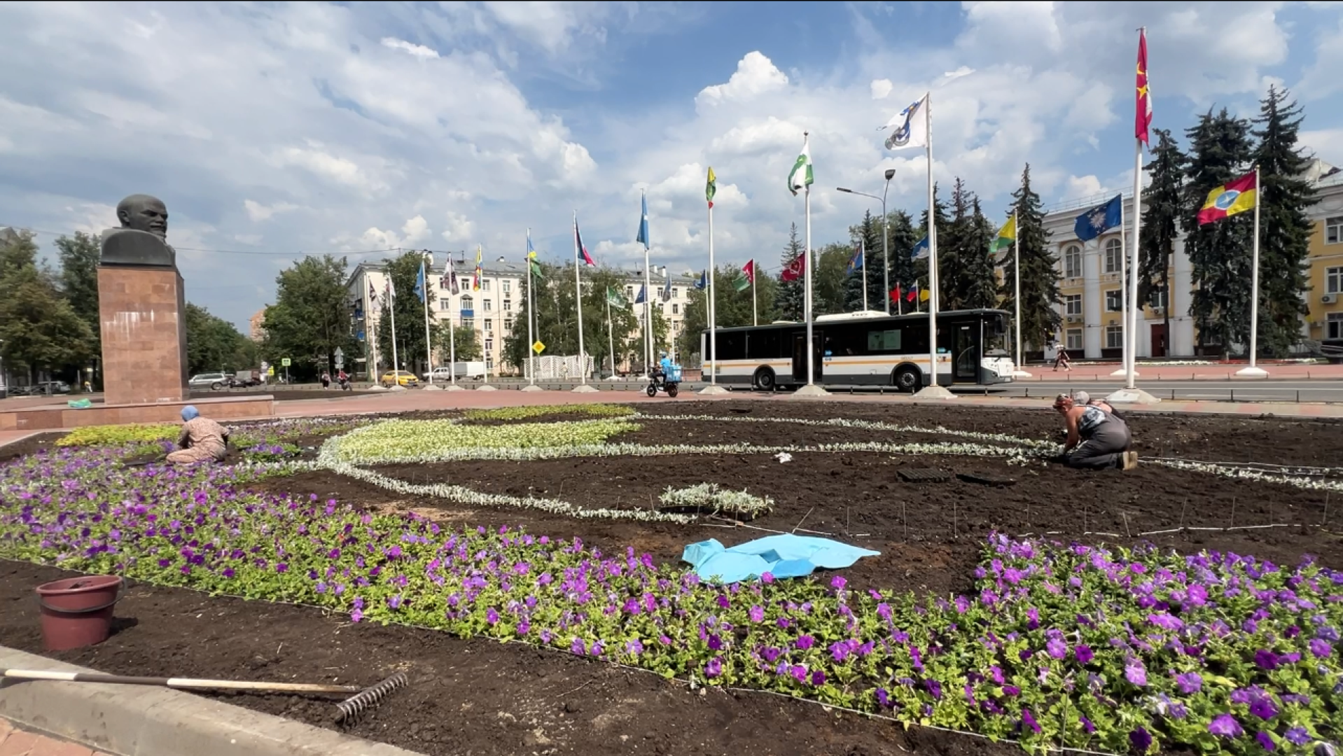 химки, благоустройство, клумбы, цветы, высадка цветов,