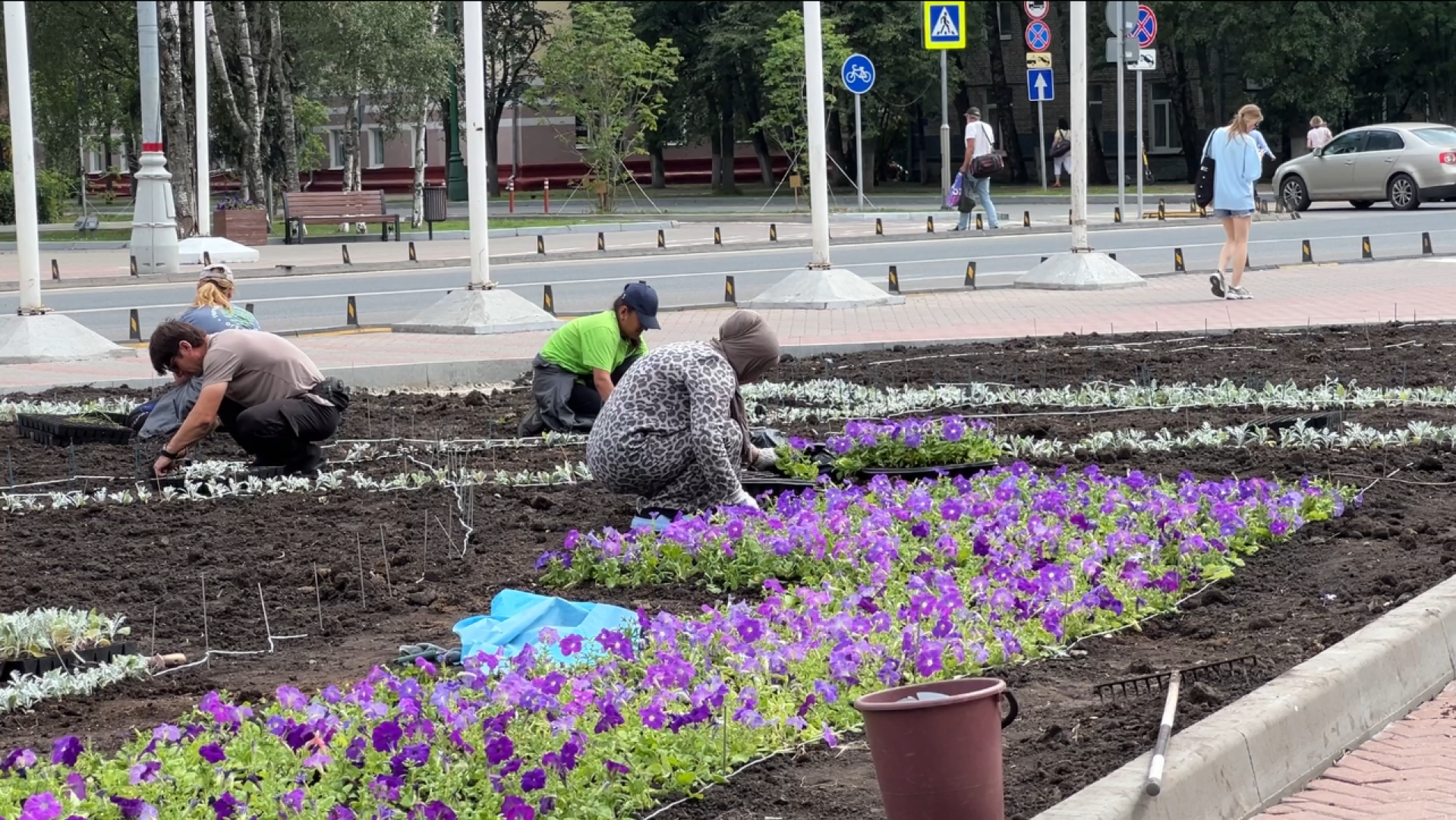 химки, благоустройство, клумбы, цветы, высадка цветов,
