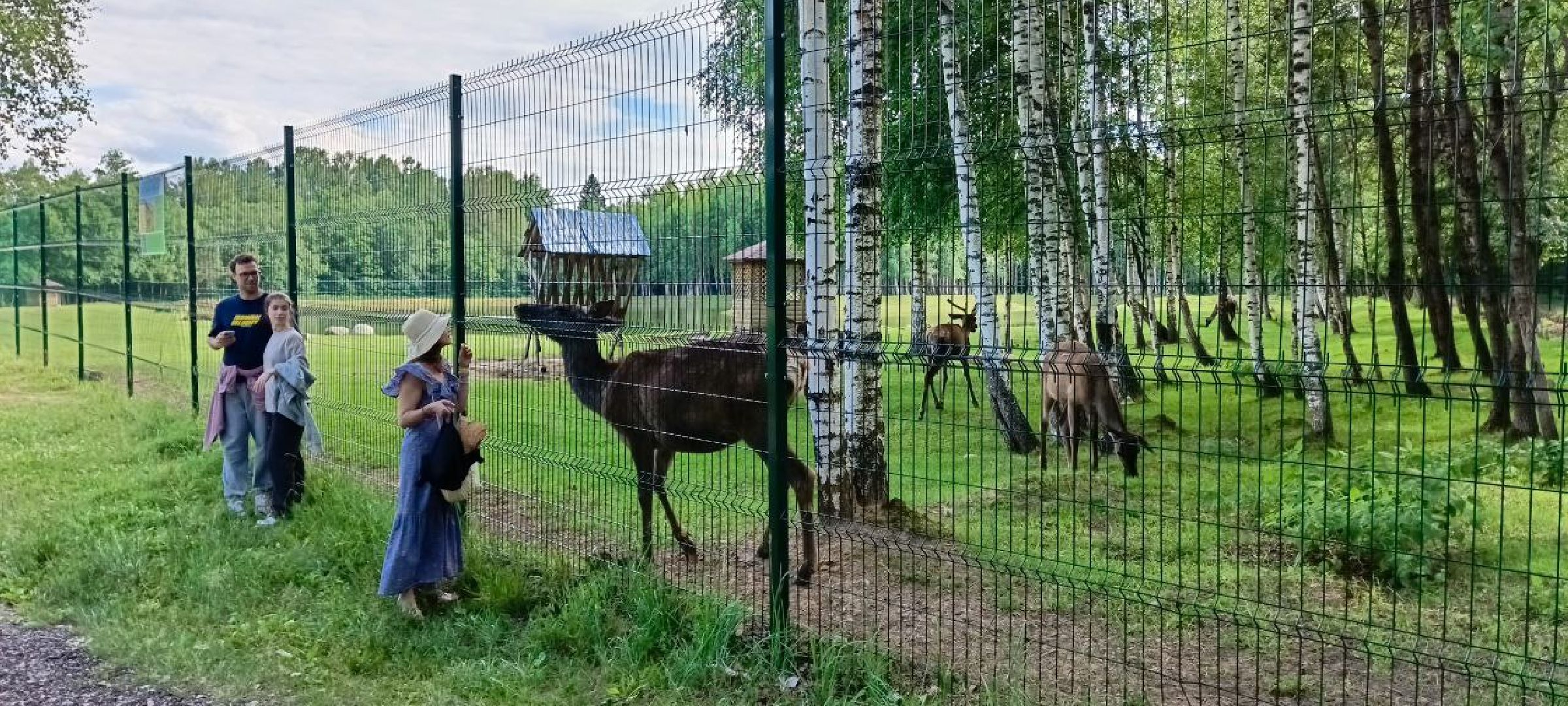 Талдом, Усадьба Веретьево, Контактный зоопарк,
