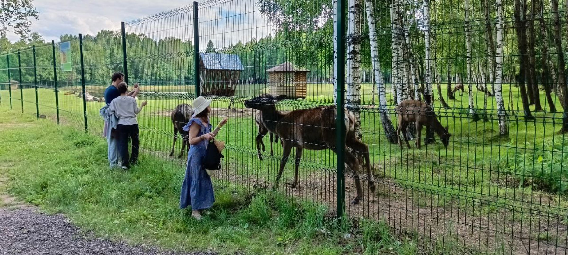 Талдом, Усадьба Веретьево, Контактный зоопарк,