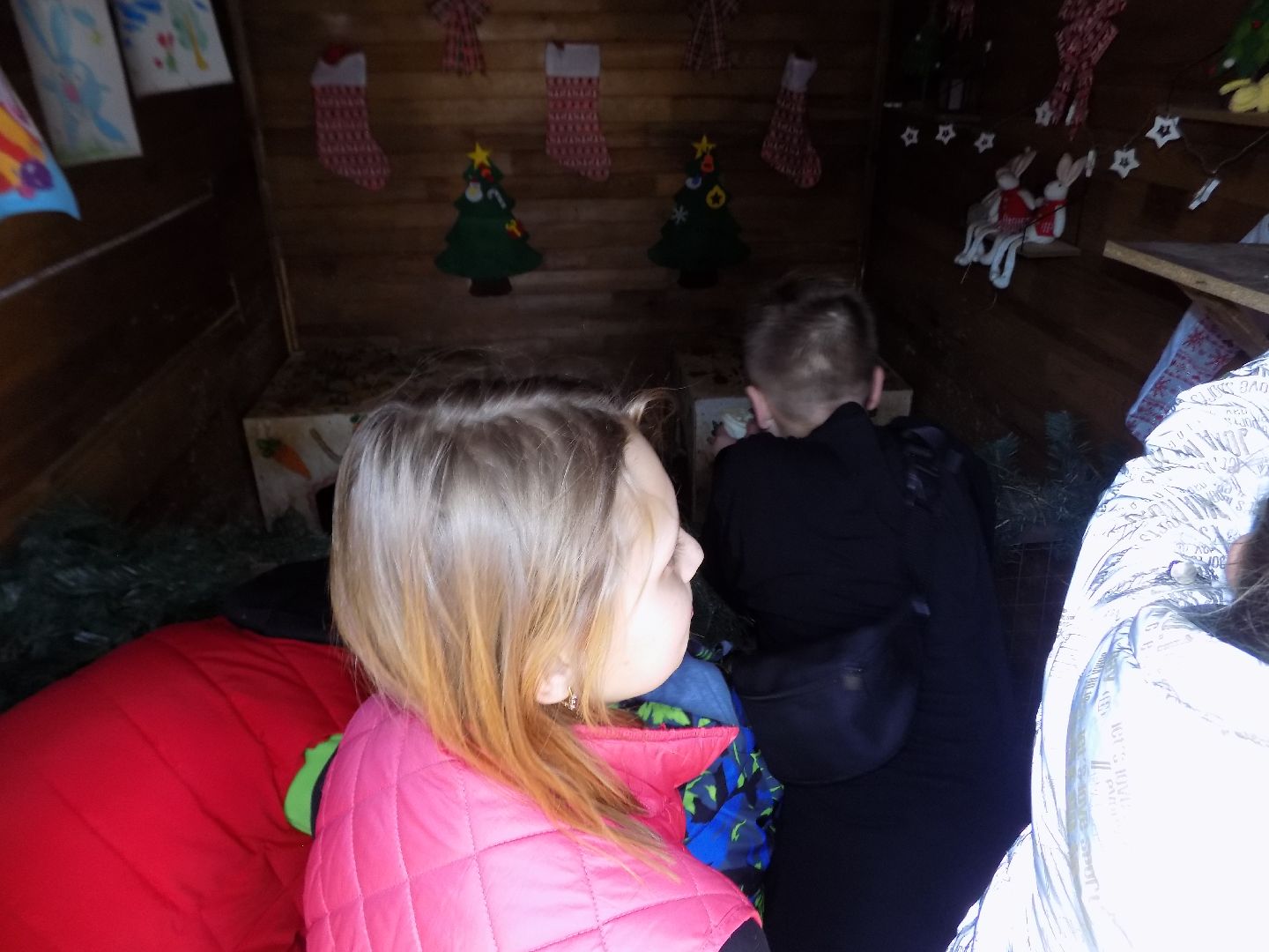 перемены, Шатура, парк, экоферма