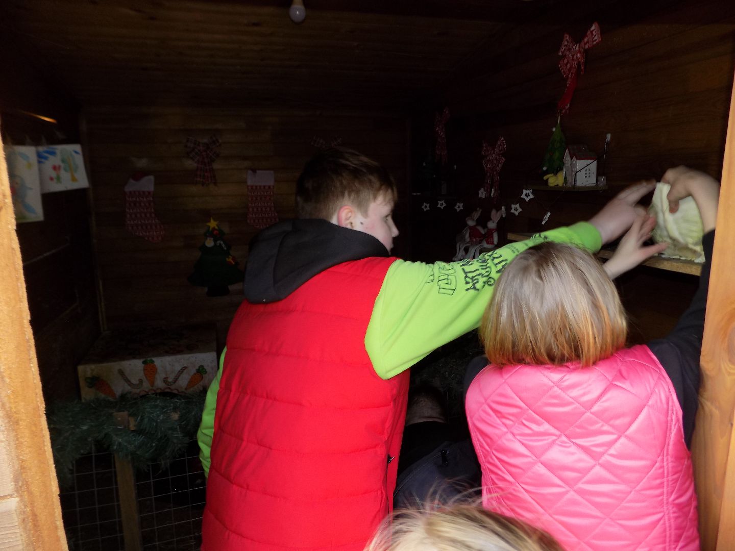 перемены, Шатура, парк, экоферма