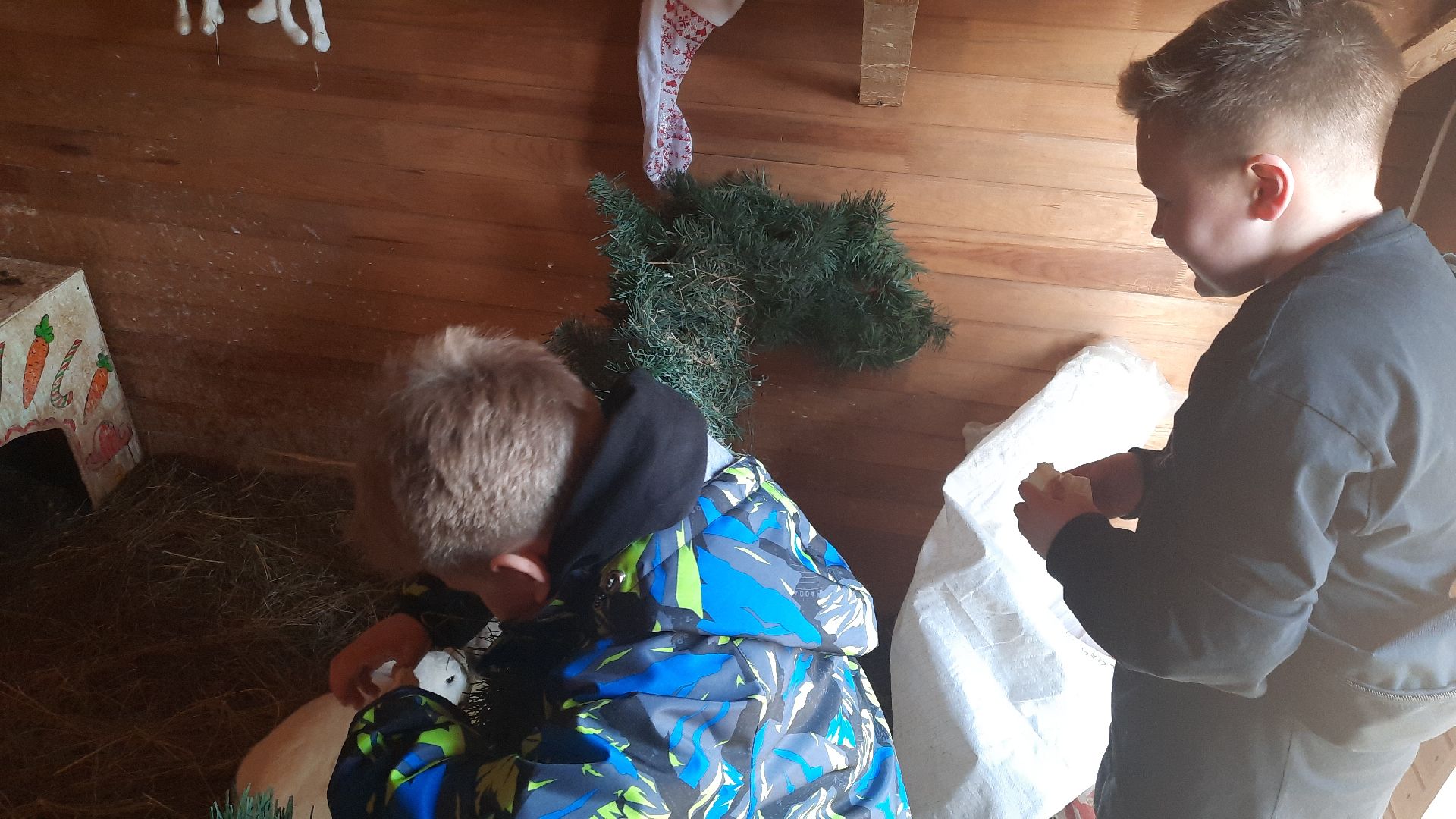 перемены, Шатура, парк, экоферма