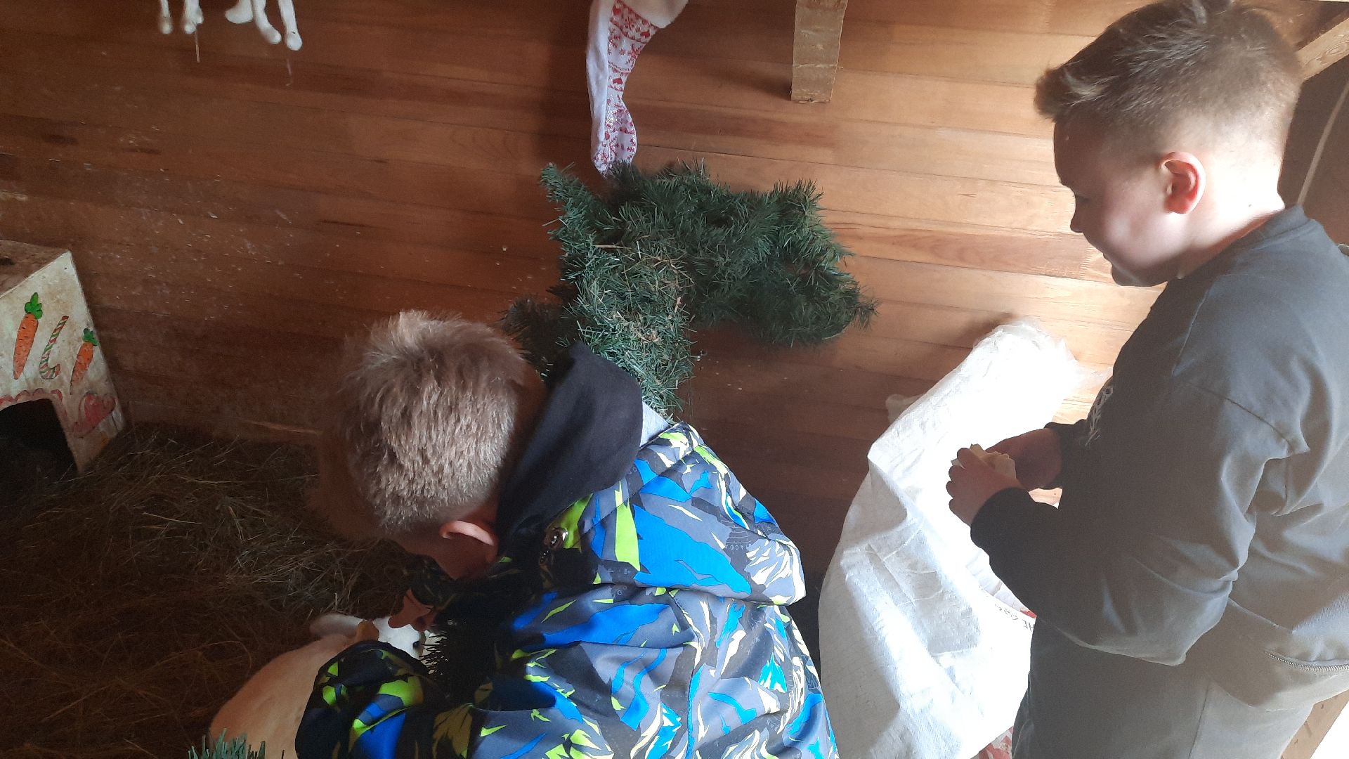 перемены, Шатура, парк, экоферма