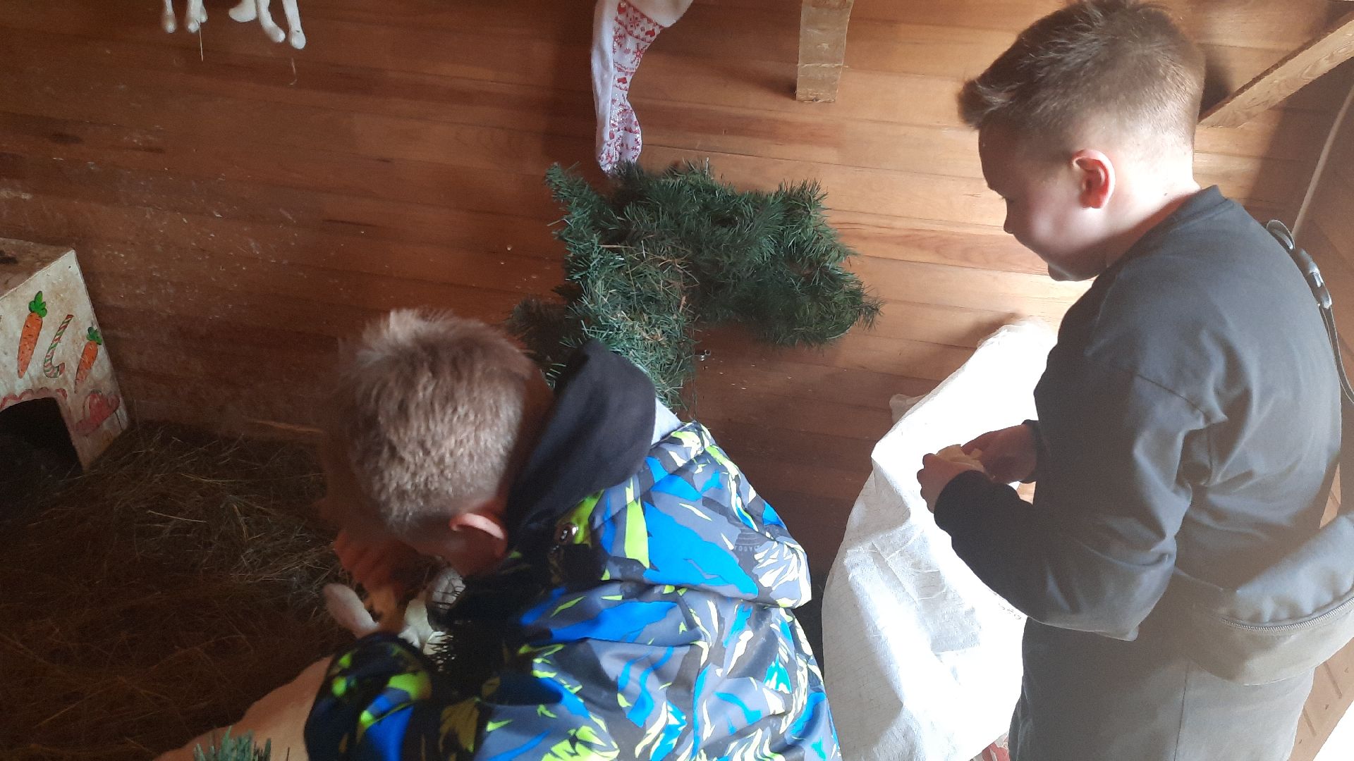 перемены, Шатура, парк, экоферма