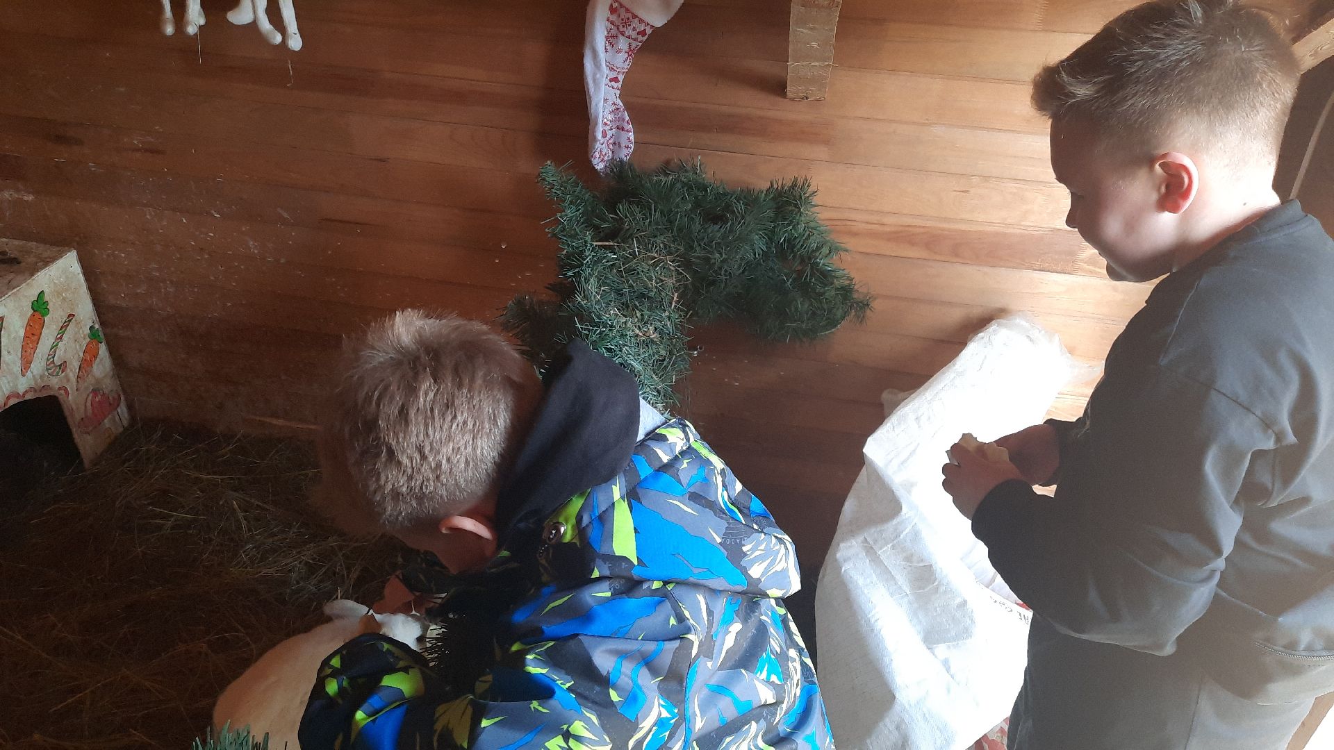 перемены, Шатура, парк, экоферма