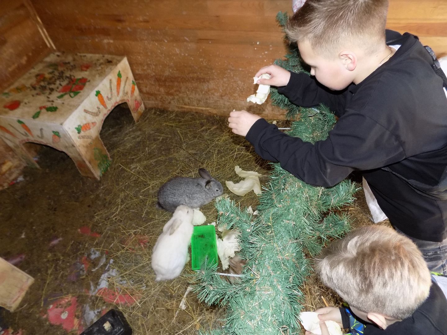 перемены, Шатура, парк, экоферма