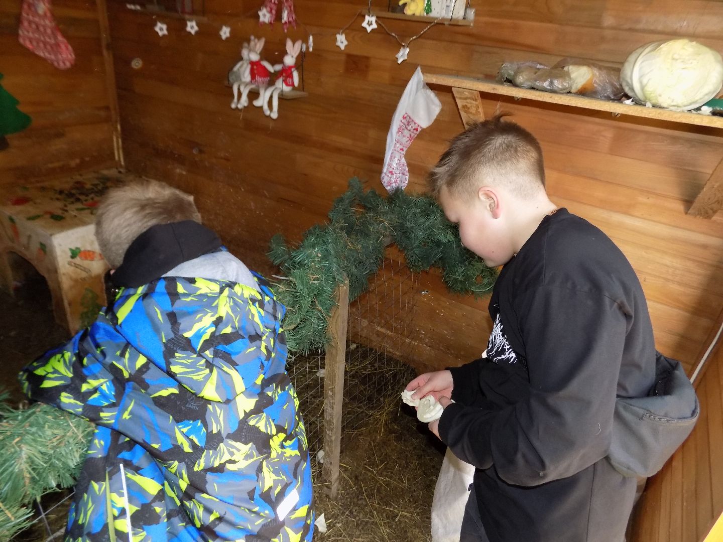 перемены, Шатура, парк, экоферма