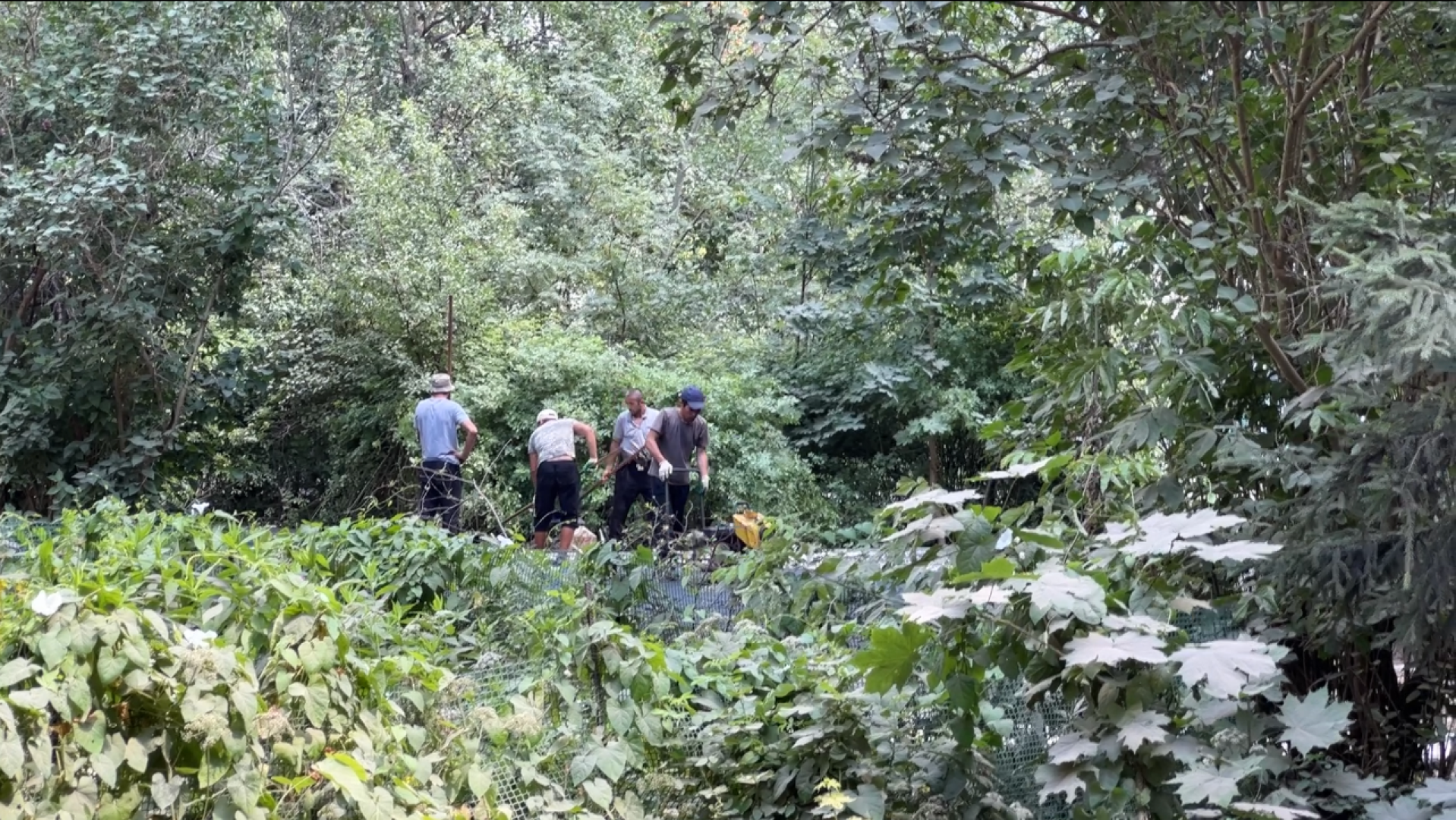 химки, благоустройство, благоустройство дворов, замена асфальта во дворе,