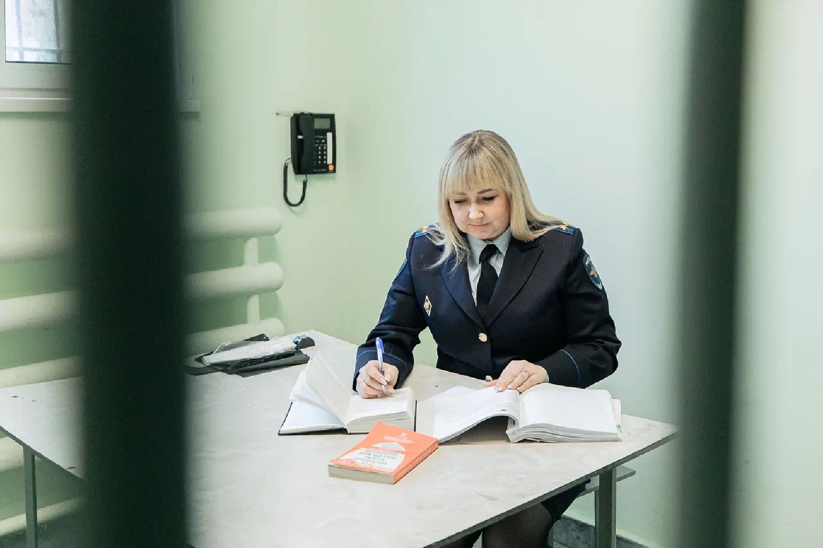 МВД, следователи, Орехово-Зуево, УМВД