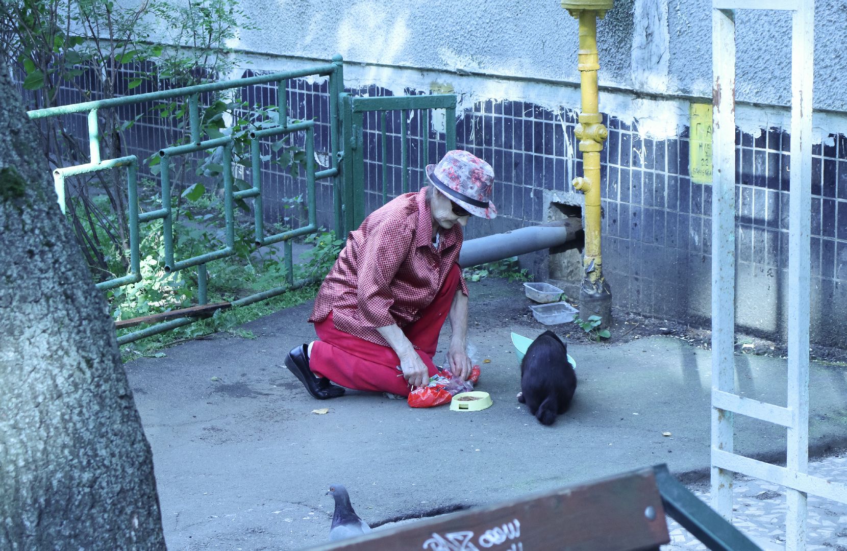 дзержинский, благоустройство 2024, улица школьная, асфальтирование дворов дорог, андроник пак, Евгений Макаров,