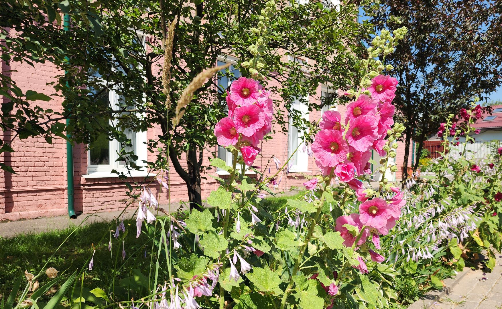 Звенигород, Образование, Ремонт в доме детского творчества,