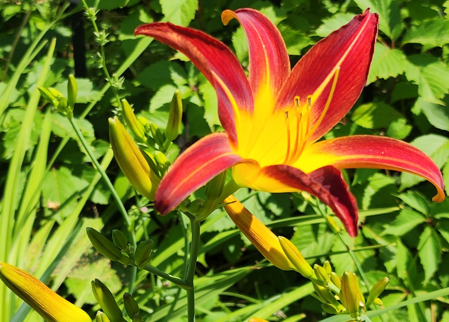 Звенигород, Образование, Ремонт в доме детского творчества,