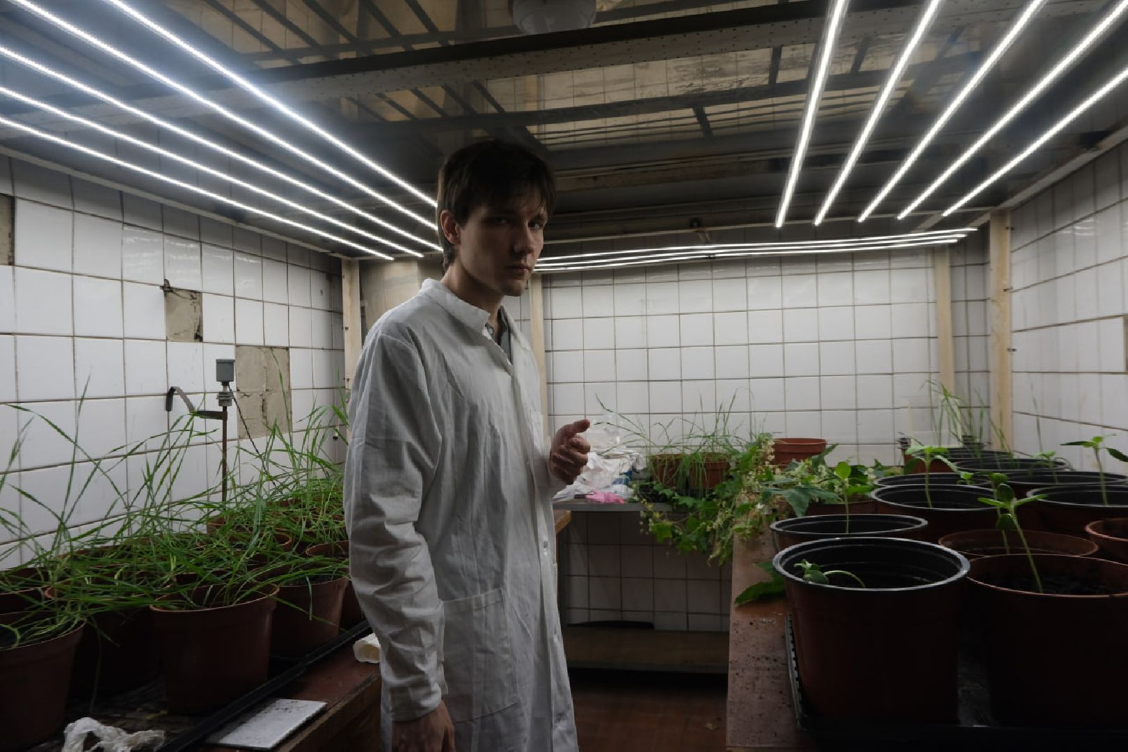 пущино, наука, молодые ученые, президент рф, Стратегия научно-технологического развития,