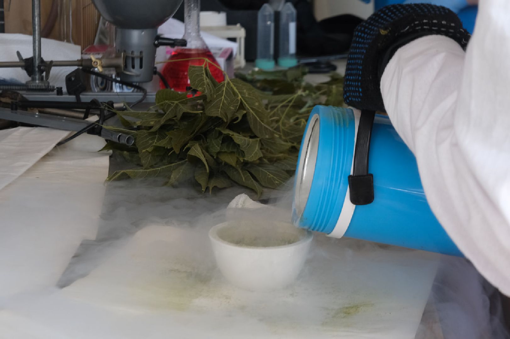 пущино, наука, молодые ученые, президент рф, Стратегия научно-технологического развития,