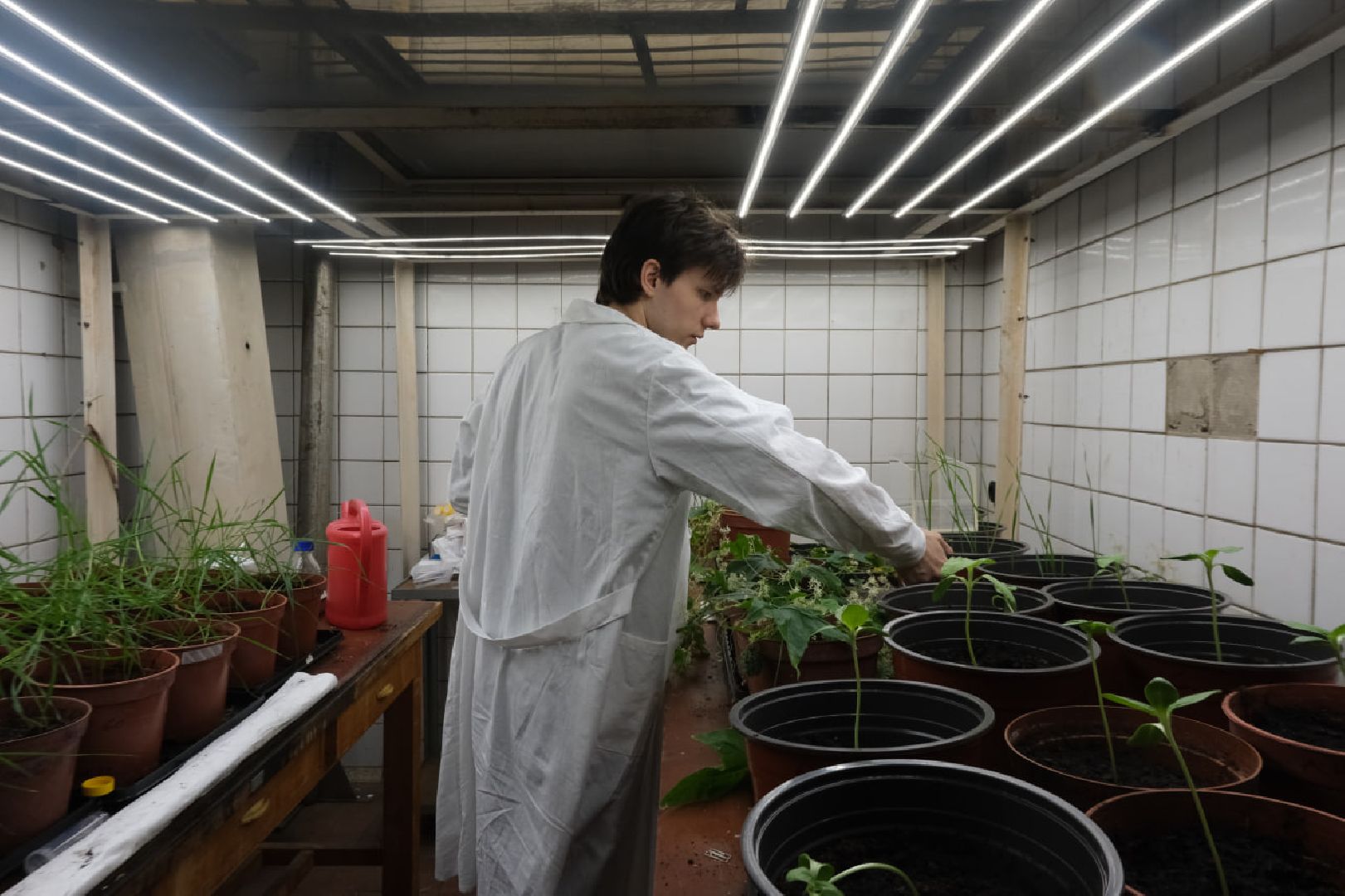 пущино, наука, молодые ученые, президент рф, Стратегия научно-технологического развития,