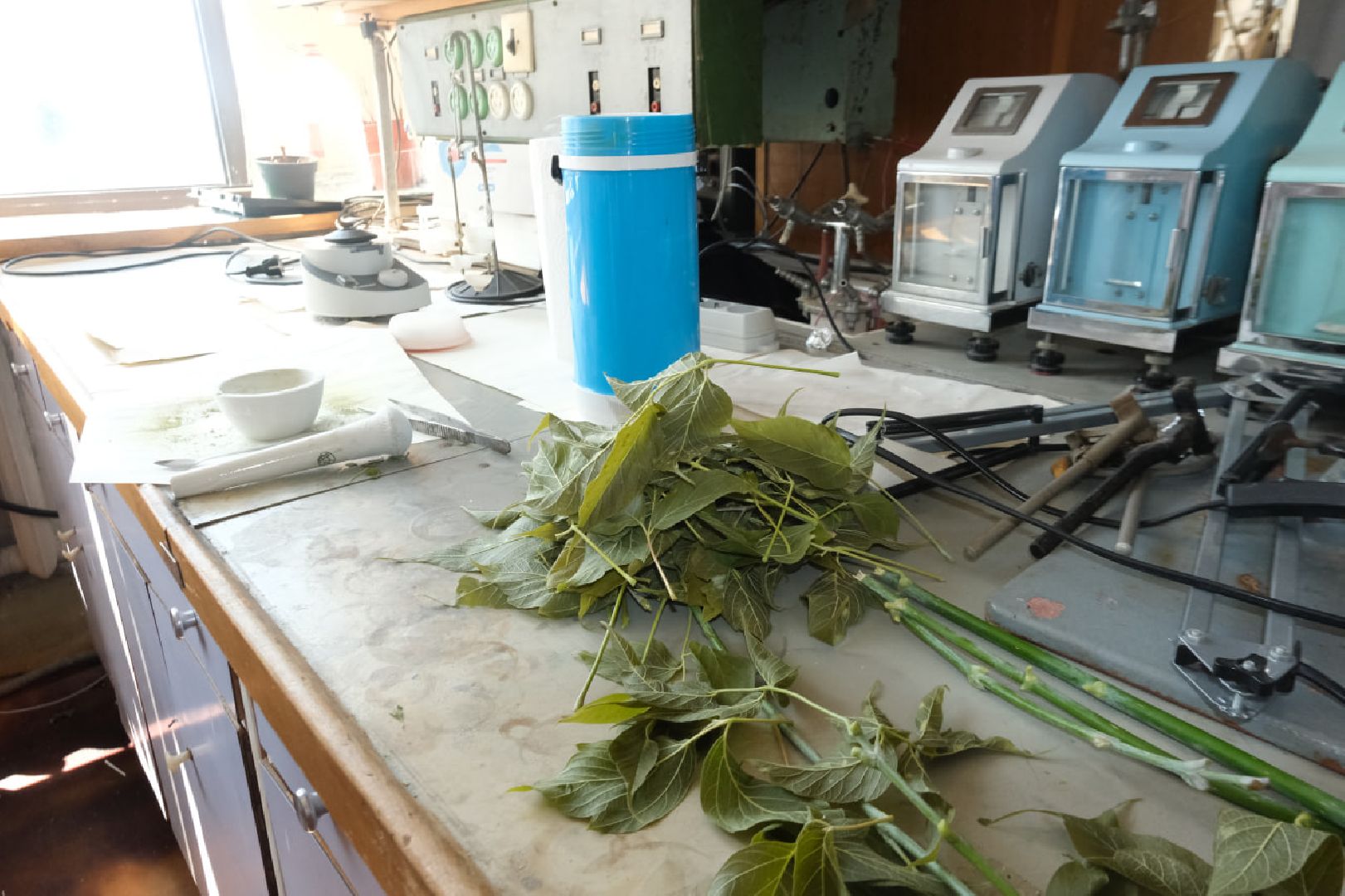 пущино, наука, молодые ученые, президент рф, Стратегия научно-технологического развития,