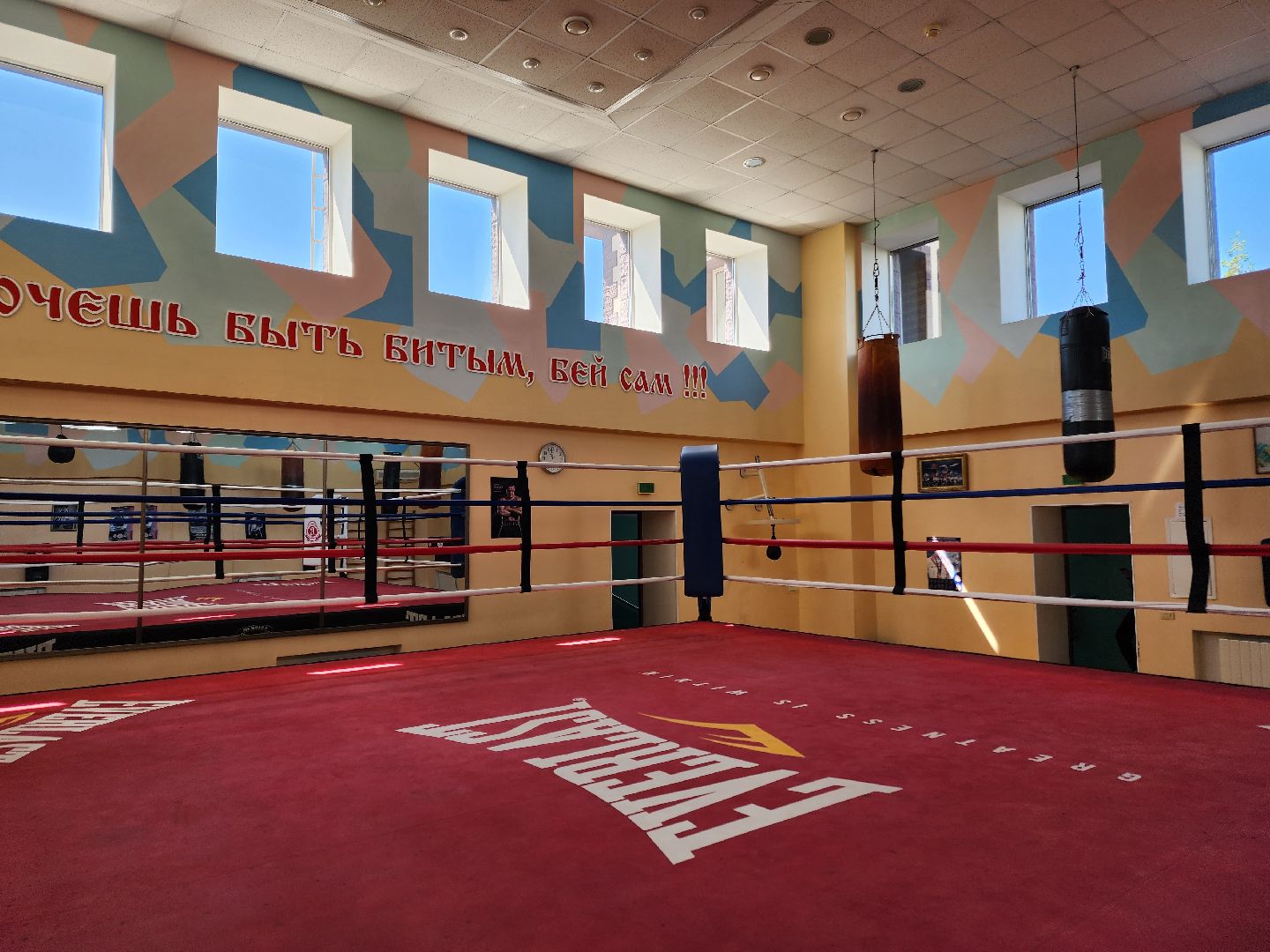 Чехов, бокс, Чемпионат России, Чемпионат Европы, призер, Ксения Андреева, Спортивная школа бокса Витязь,