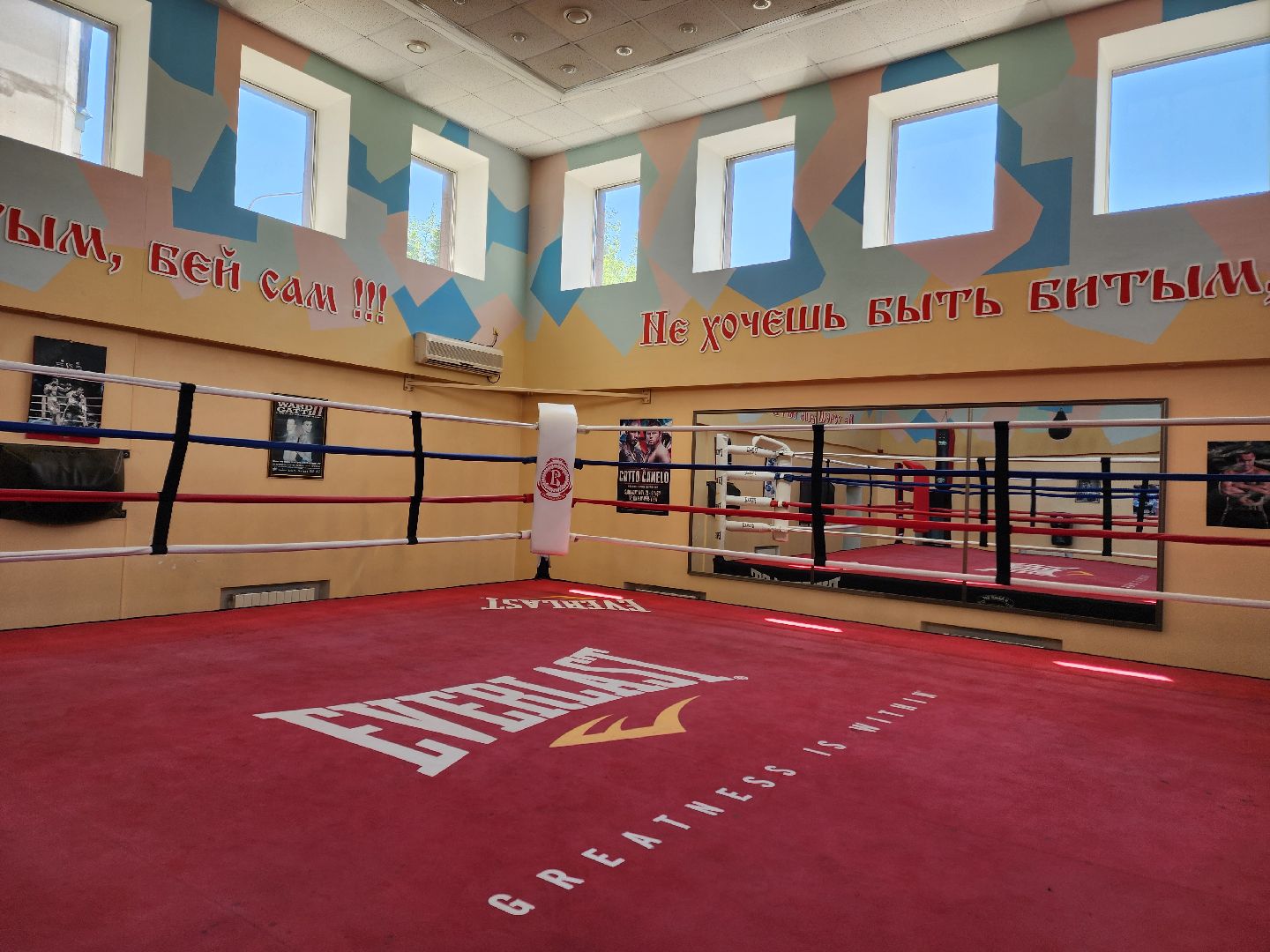 Чехов, бокс, Чемпионат России, Чемпионат Европы, призер, Ксения Андреева, Спортивная школа бокса Витязь,