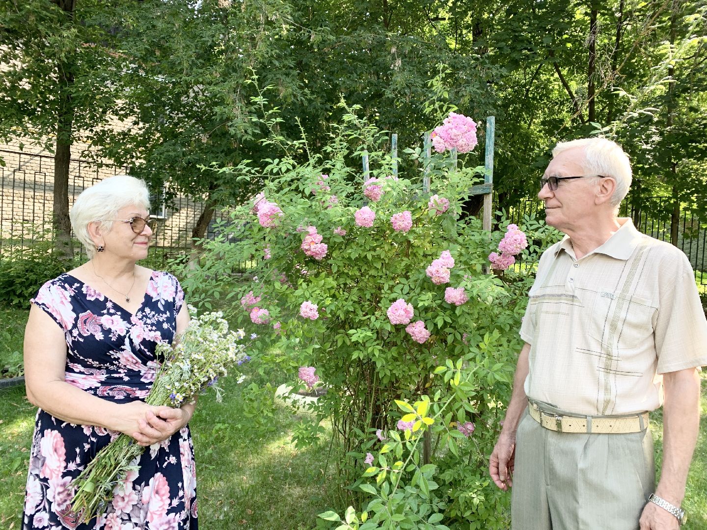 Балашиха, Подмосковье, активное долголетие, золотая свадьба, день семьи любви и верности,