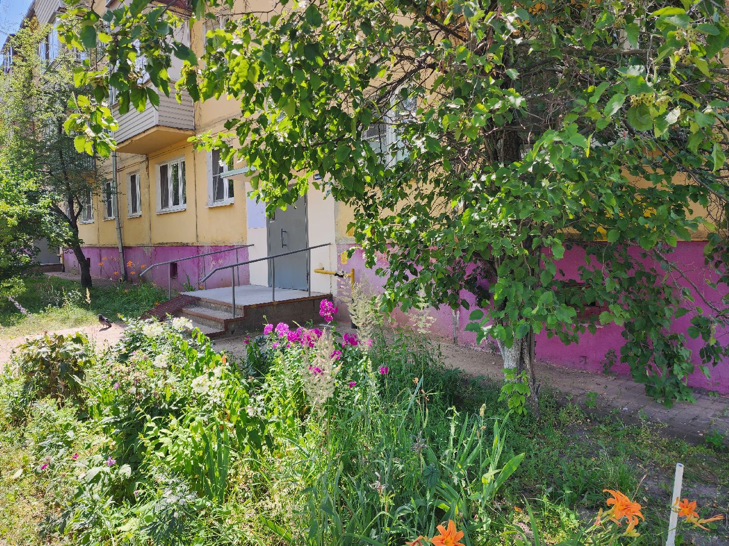 раменское, жкх, ремонт подъездов, улица Новостройки дом 11-4,