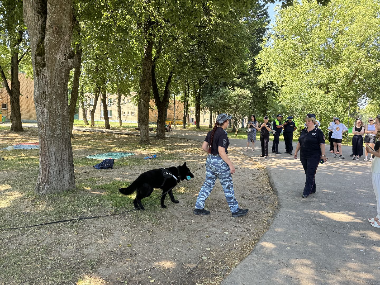 Оздоровительный лагерь Салют, Правила безопасности дорожного движения, ленинский городской округ, поселок Володарского, ГАИ, безопасность на дорогах,