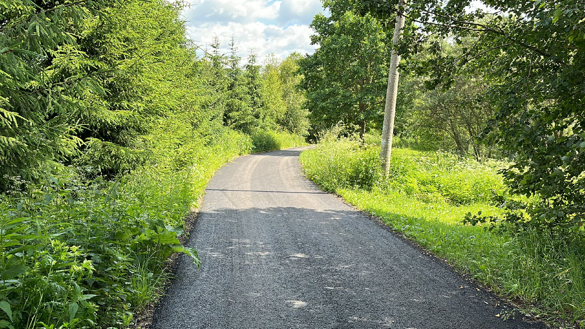 Клин, общество, дороги, ремонт дорог,
