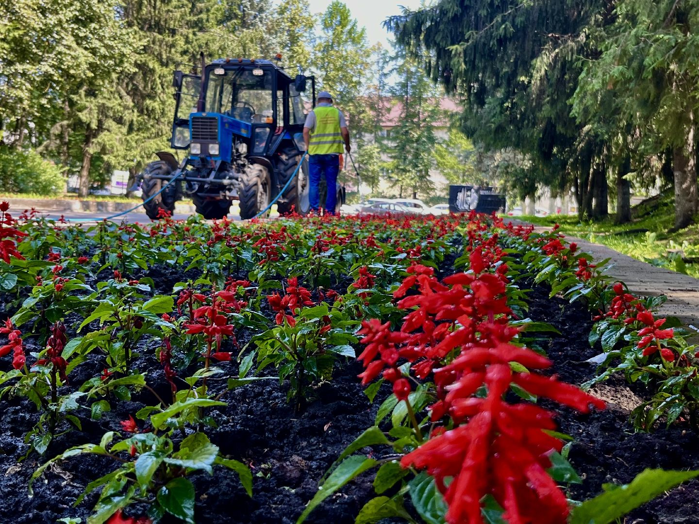 наро-фоминск, благоустройство и дорожное хозяйство, коммунальщики, аэрация воздуха, цветники, аномальная жара,