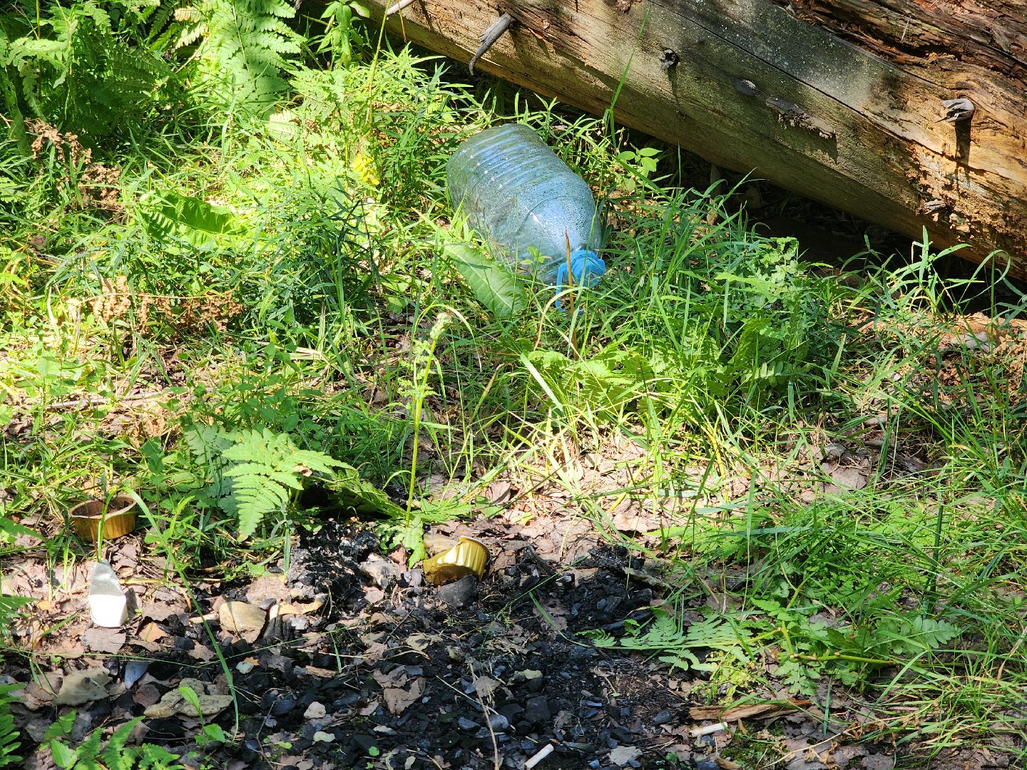 черноголовка, Северное озеро, экология, мусор,